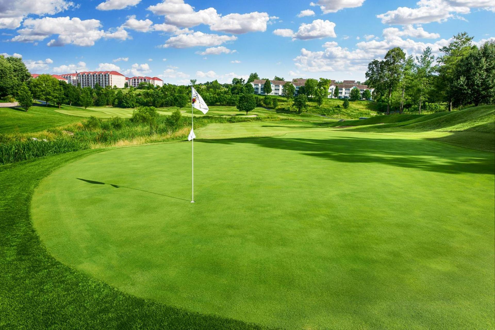 Links at Thousand Hills photo 10