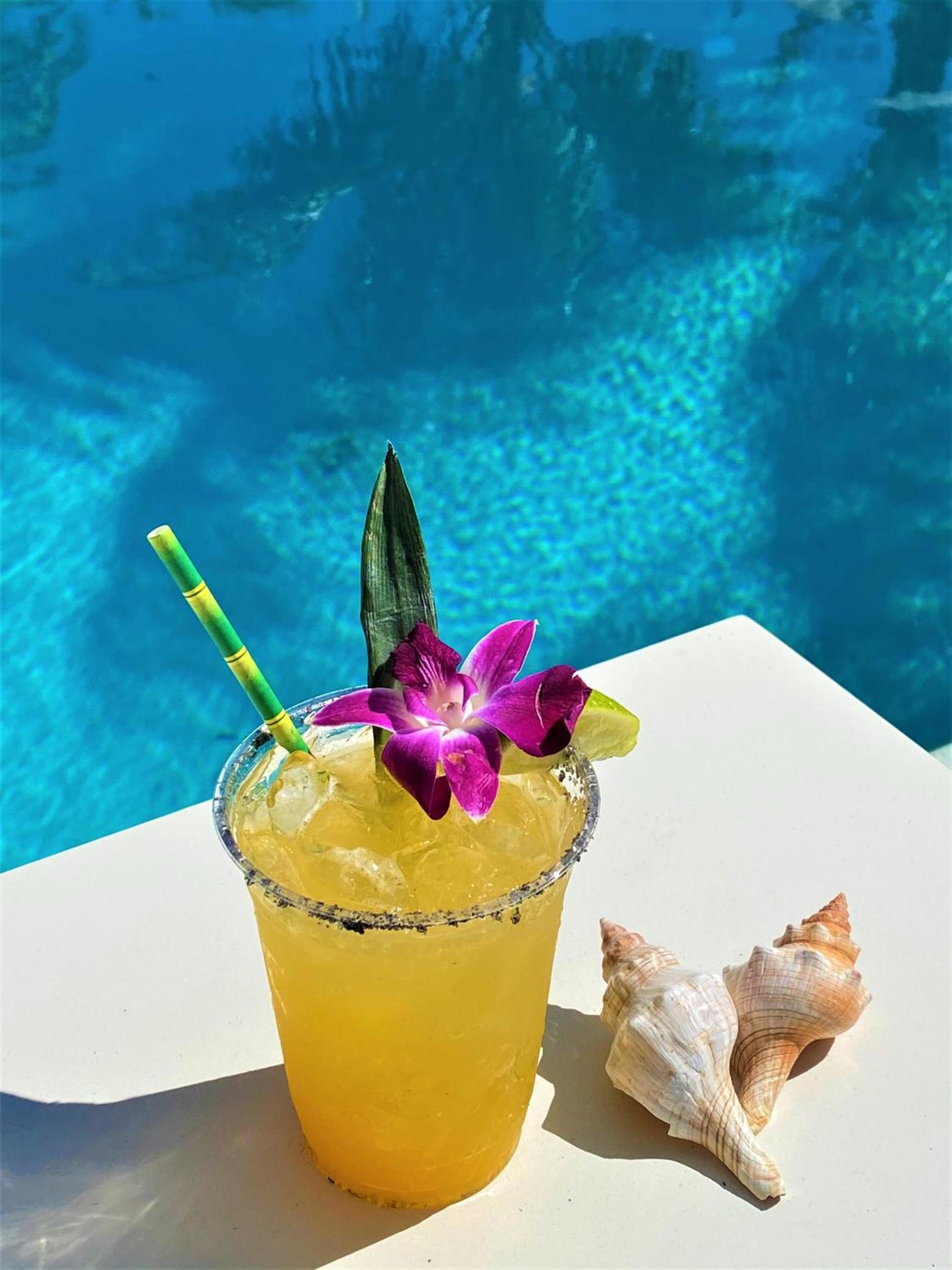 Bali Hai Beach Resort photo 4