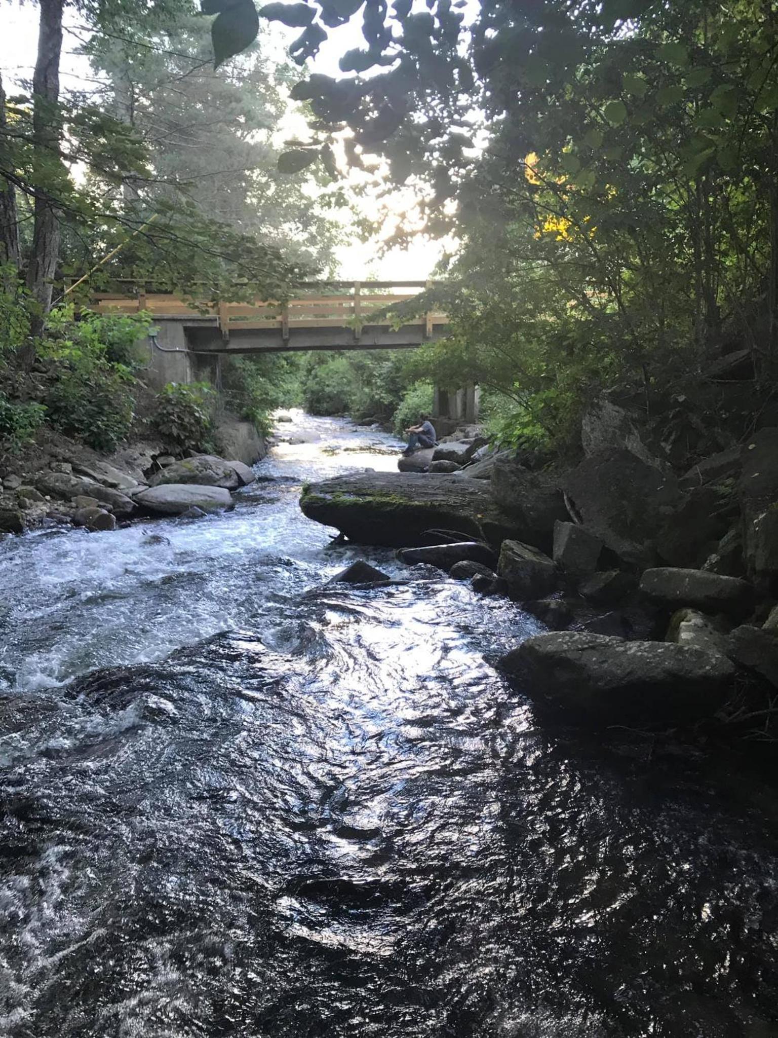 Route 19 Inn photo 32