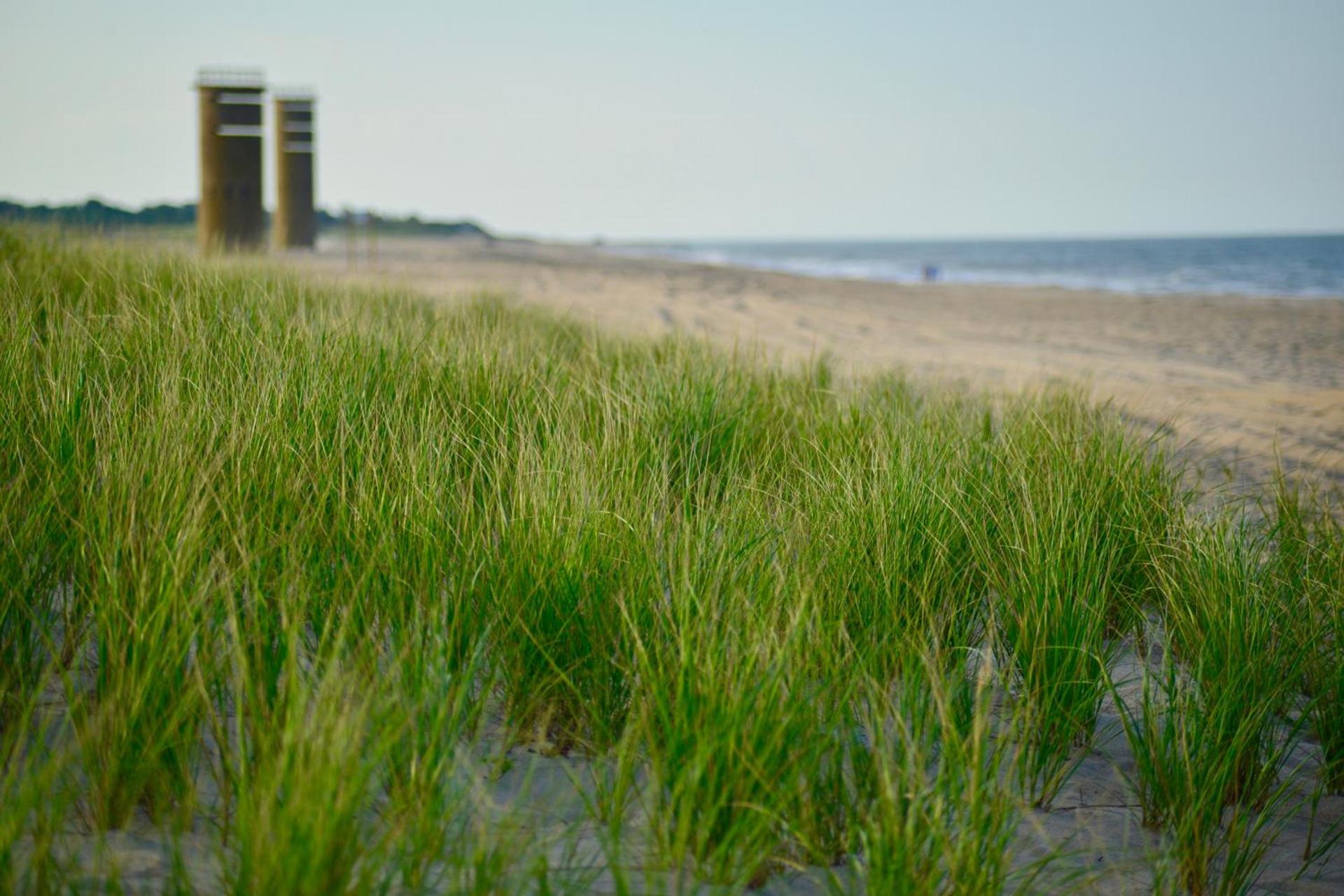 Atlantic Oceanside Dewey photo 11