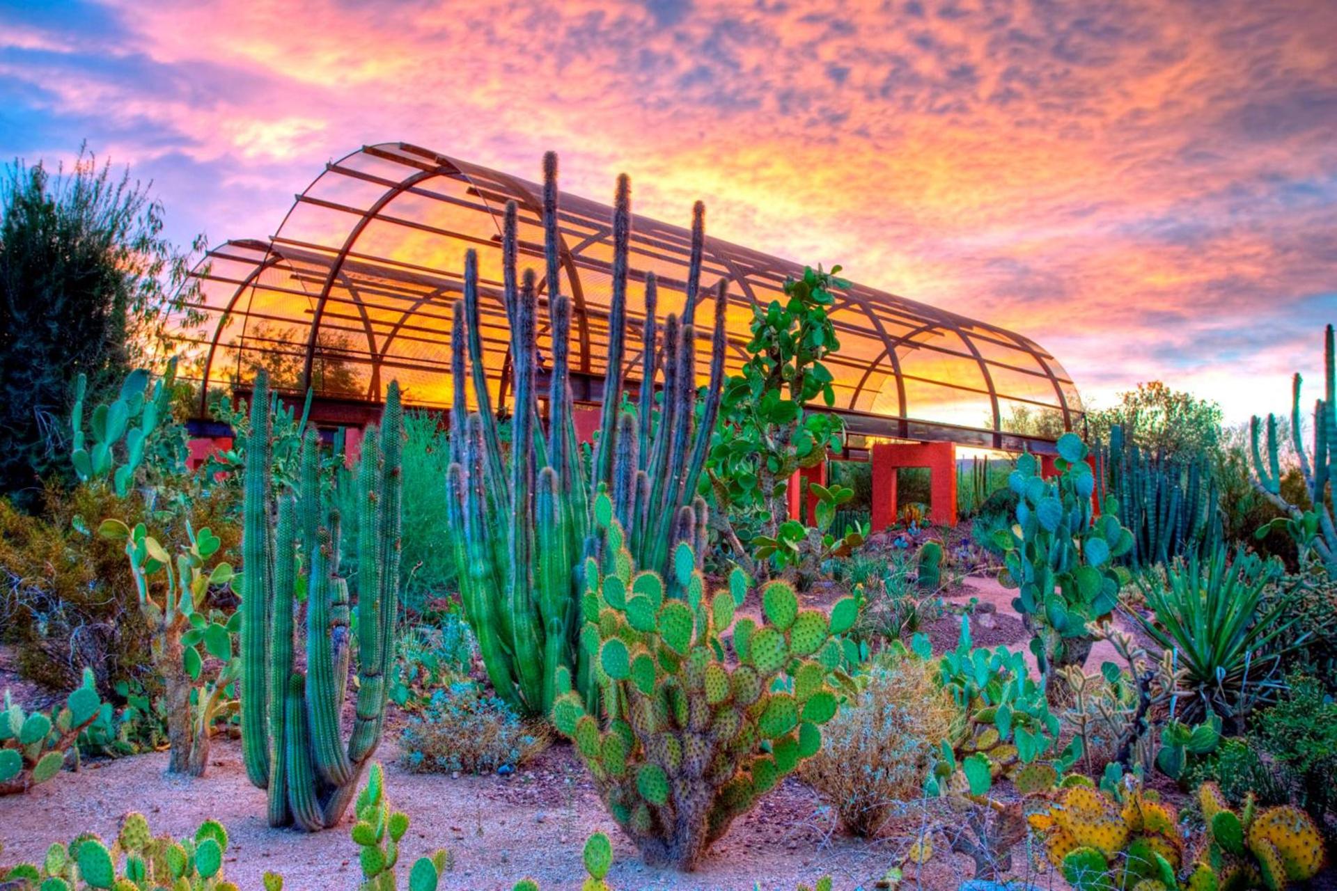 Holiday Inn Express & Suites - Phoenix - Airport North by IHG photo 15