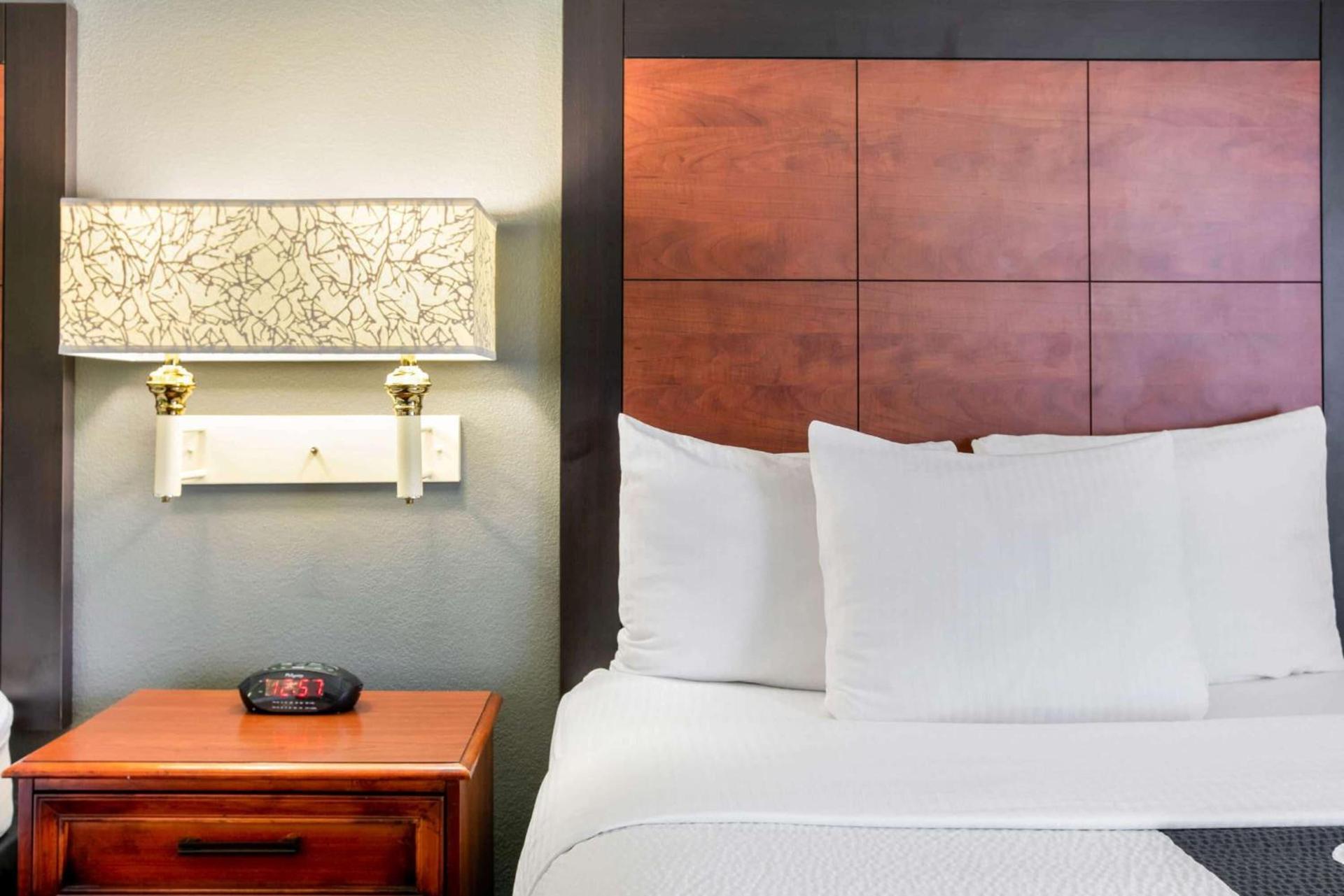 La Quinta by Wyndham DFW Airport South / Irving photo 22