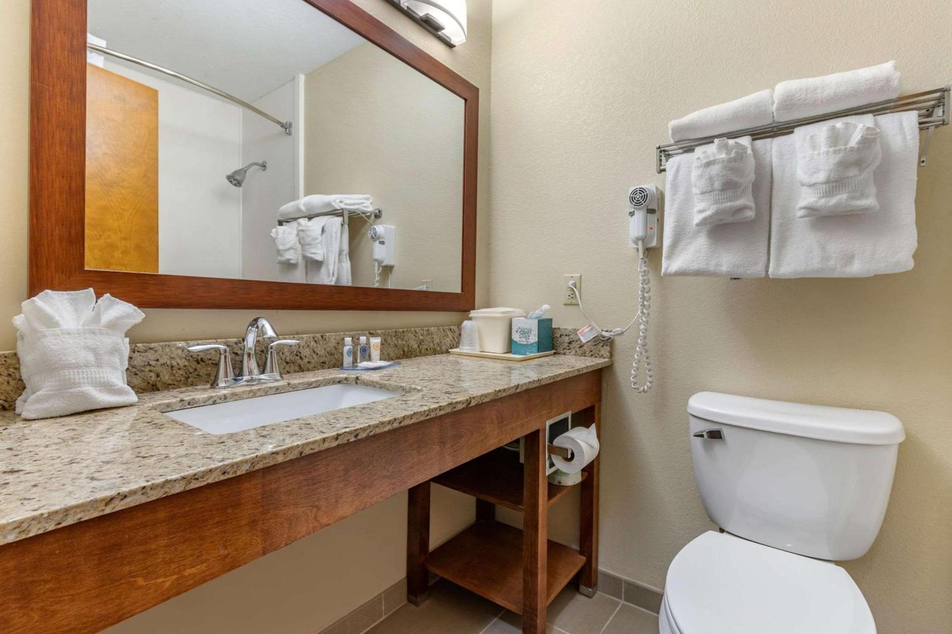Comfort Inn & Suites Clemson - University Area photo 7