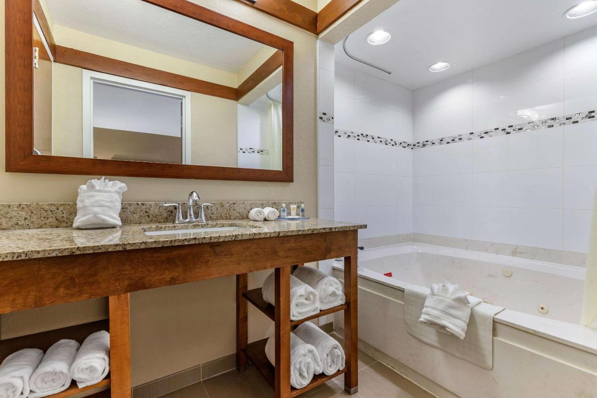 Comfort Inn & Suites Clemson - University Area photo 19