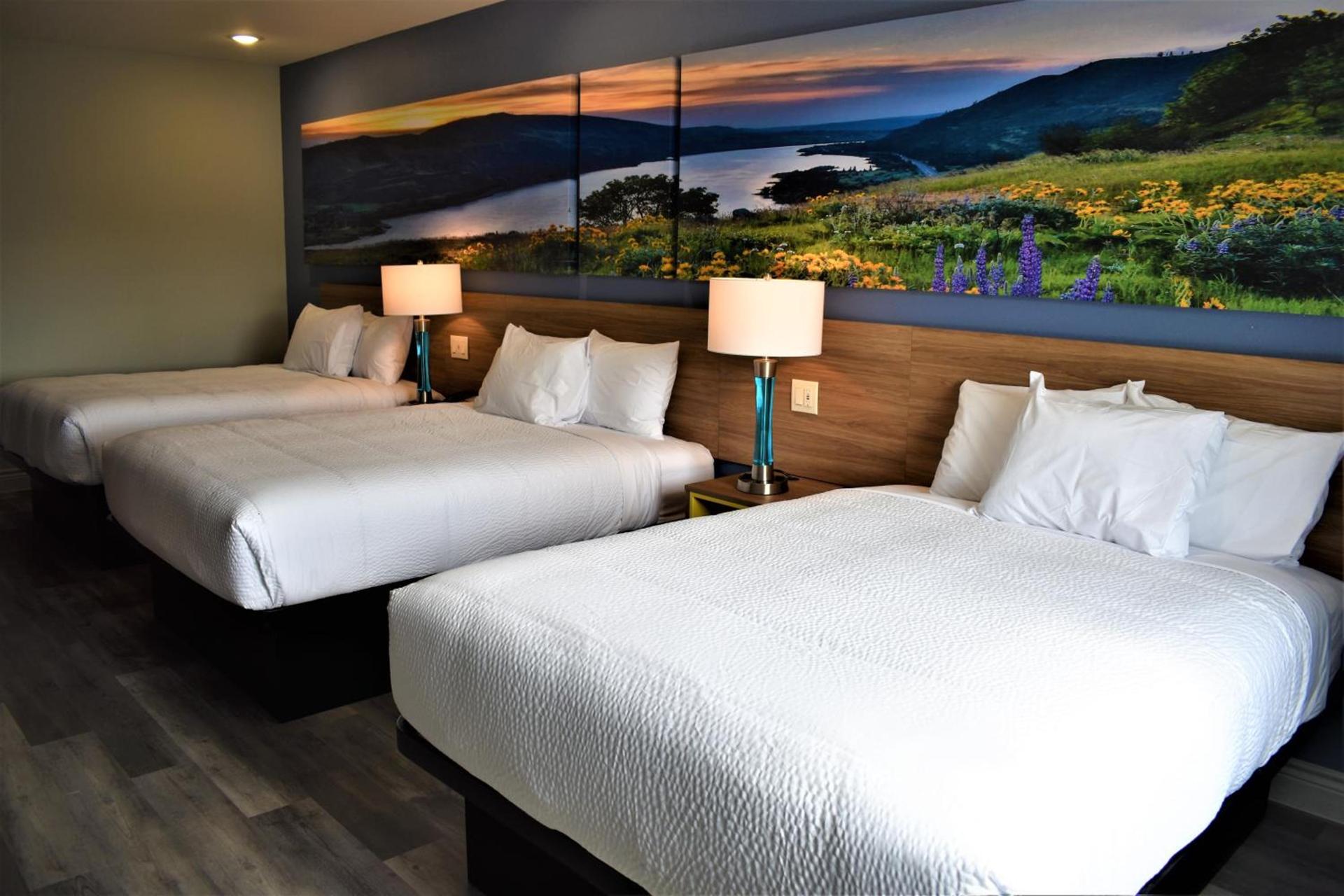 Days Inn & Suites by Wyndham Downtown/University of Houston photo 61