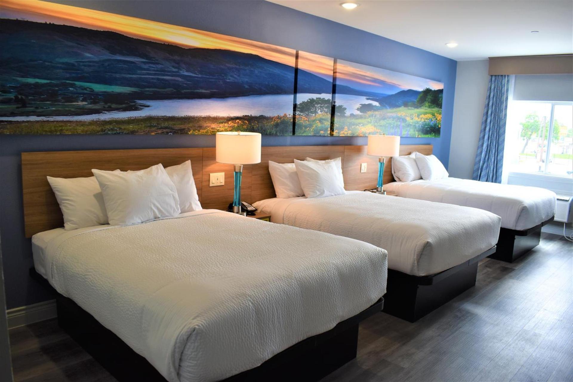 Days Inn & Suites by Wyndham Downtown/University of Houston photo 62