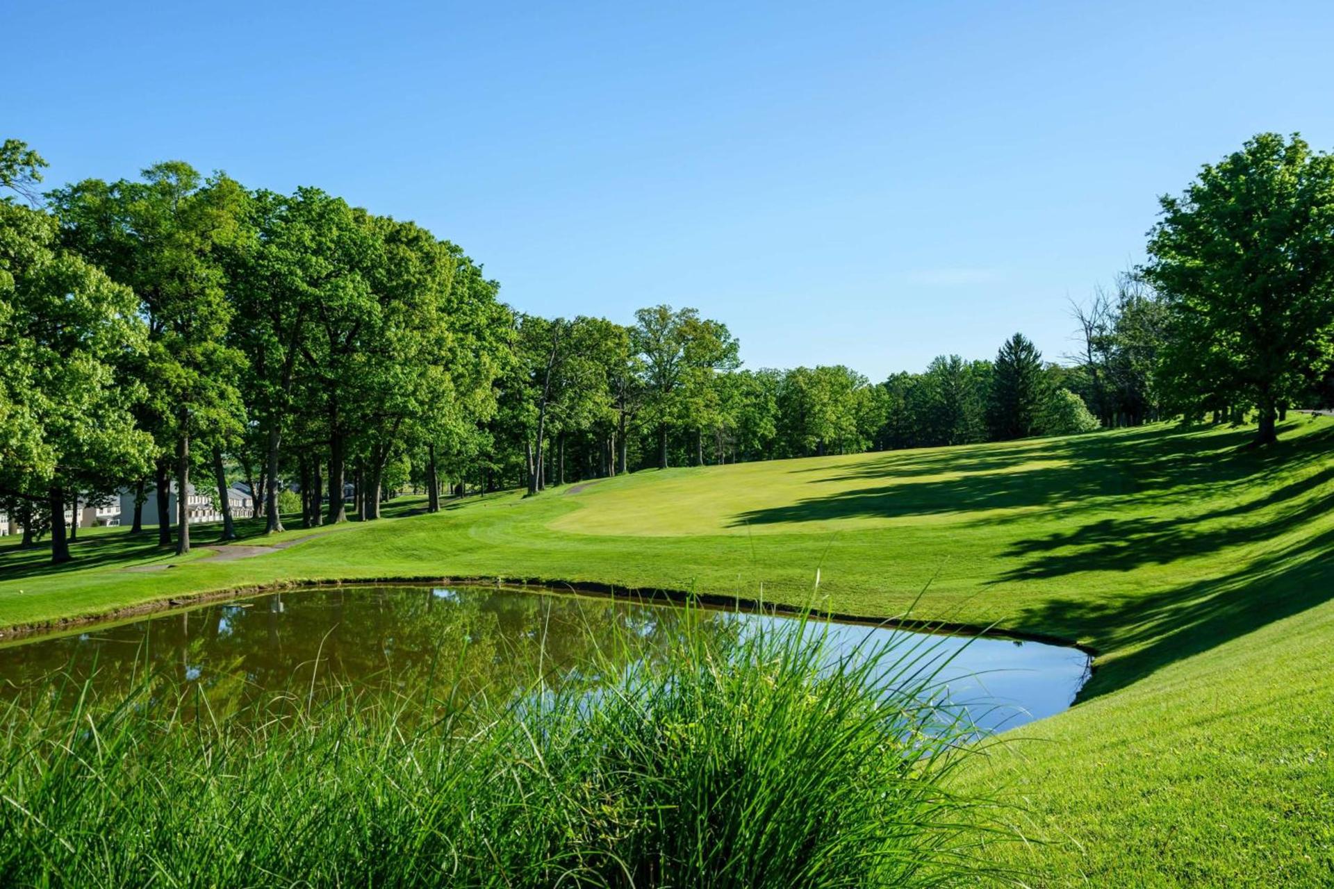 Lakeview Golf Resort photo 6