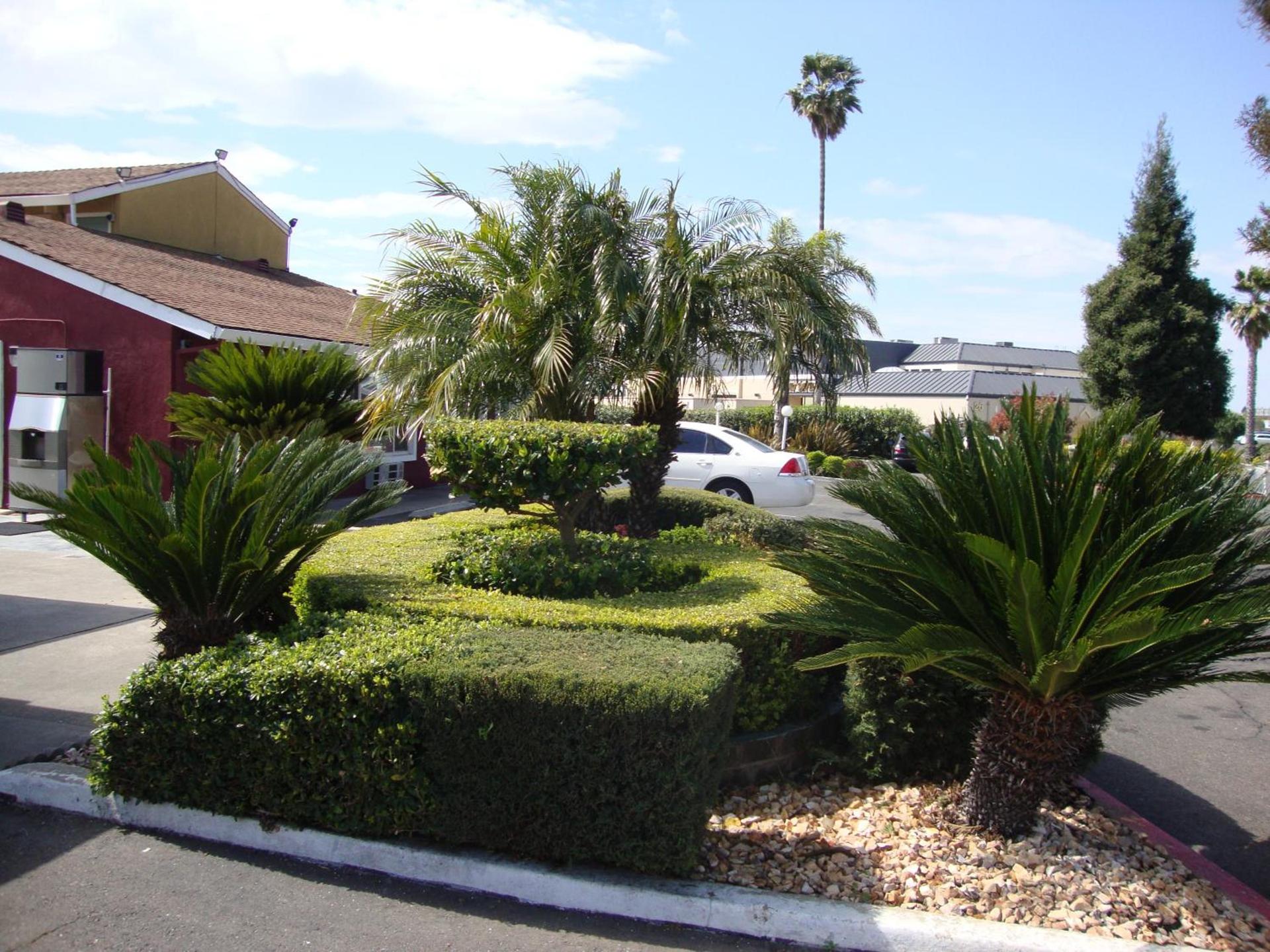 Oasis Inn Sacramento- Elk Grove photo 13