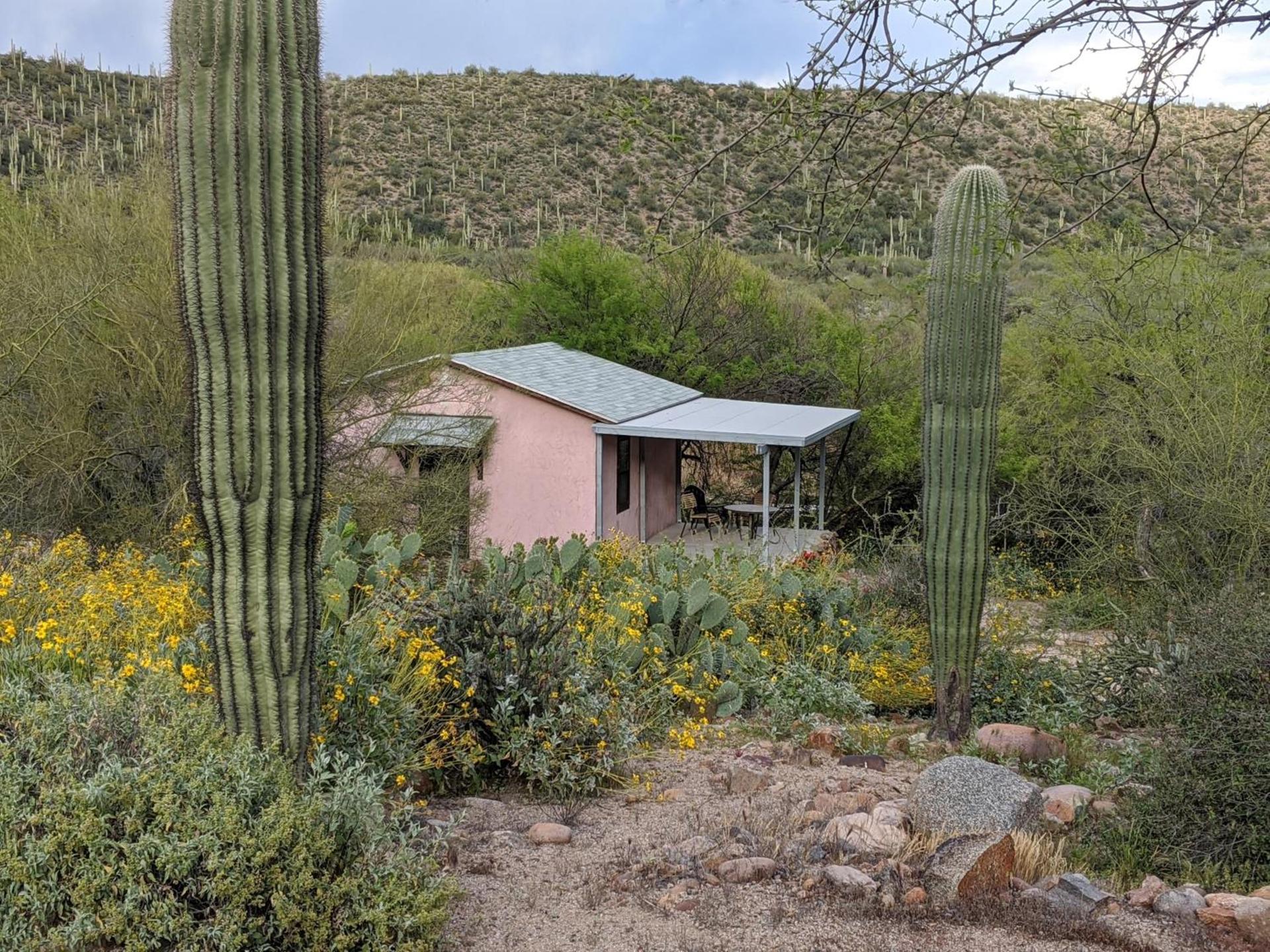 Saguaro Lake Ranch photo 5