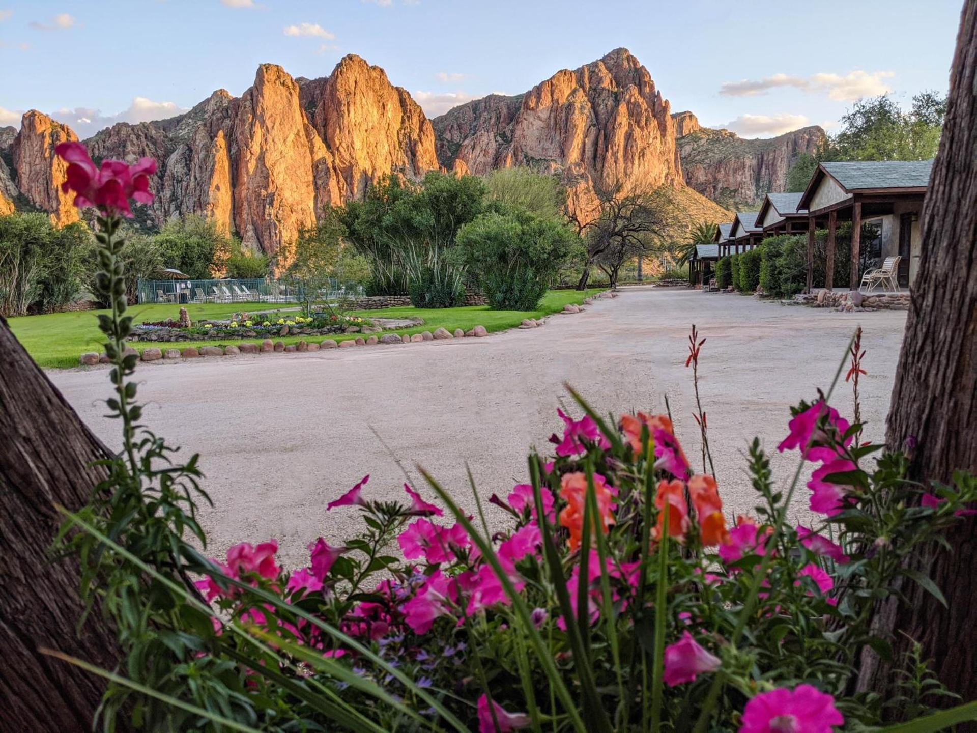 Saguaro Lake Ranch photo 1