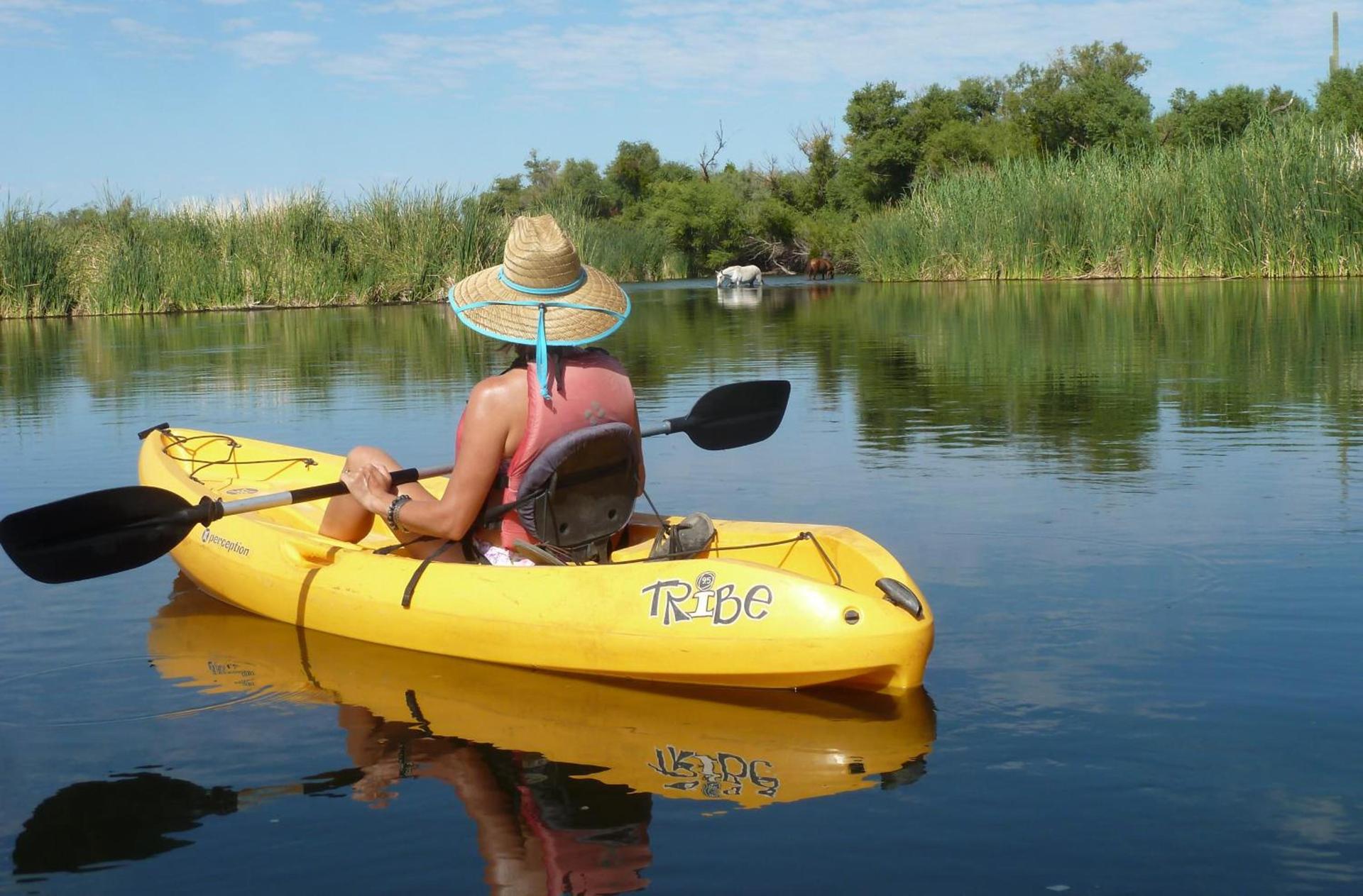 Saguaro Lake Ranch photo 19