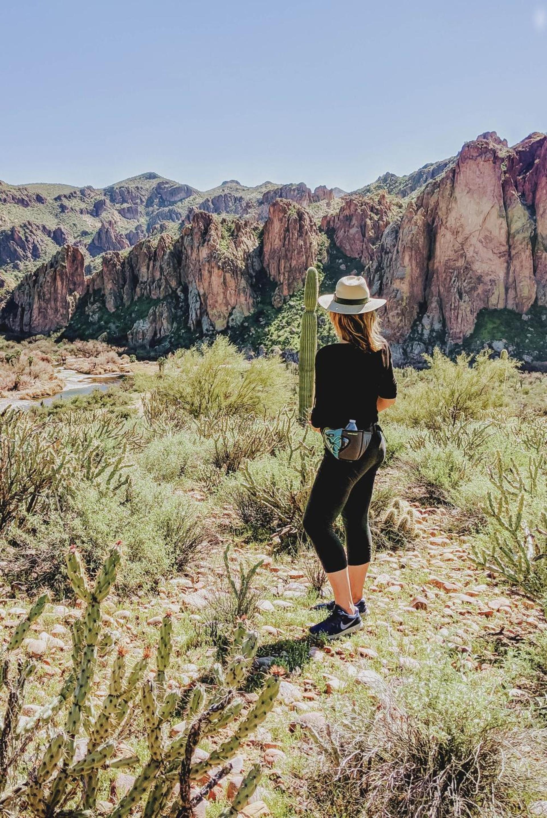Saguaro Lake Ranch photo 11
