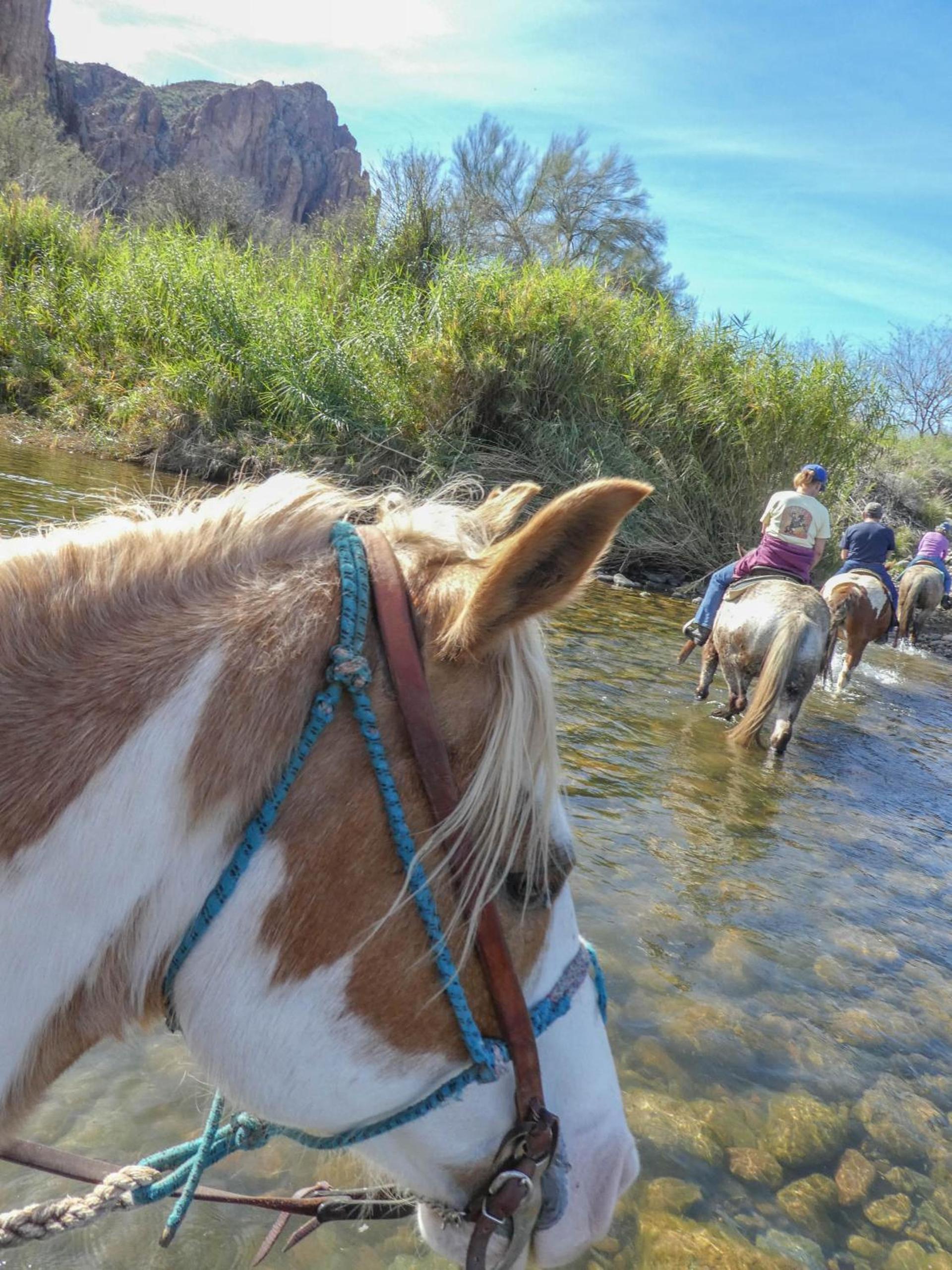 Saguaro Lake Ranch photo 8