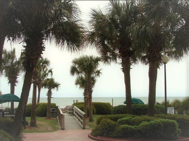 Suites at the Beach photo 26