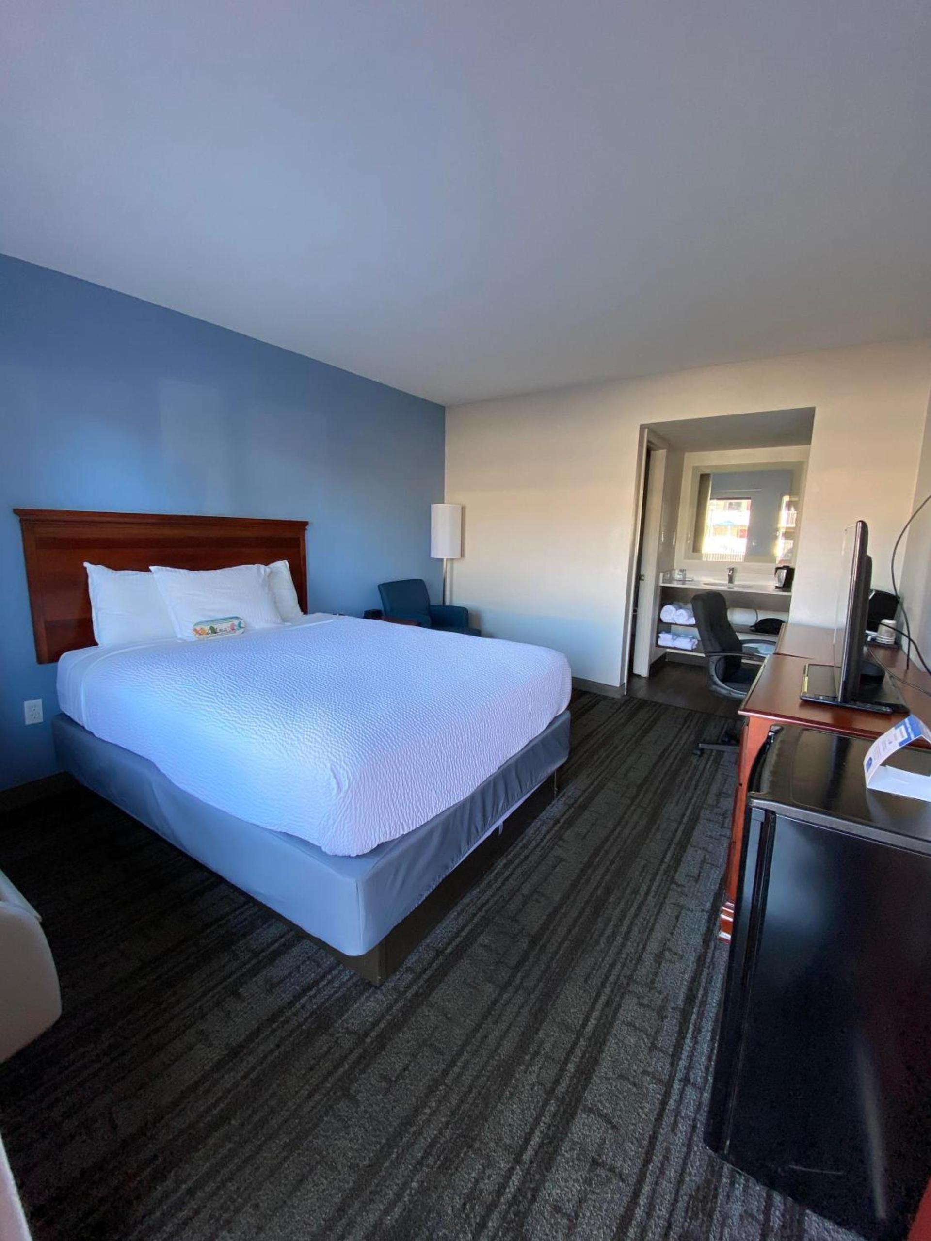 Hotel South Tampa & Suites photo 23