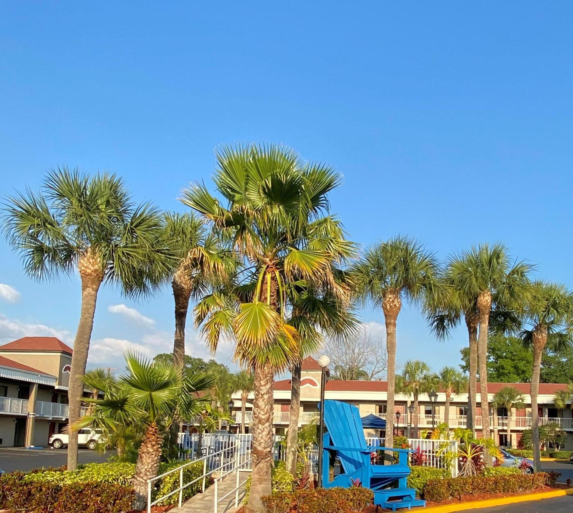 Hotel South Tampa & Suites photo 31
