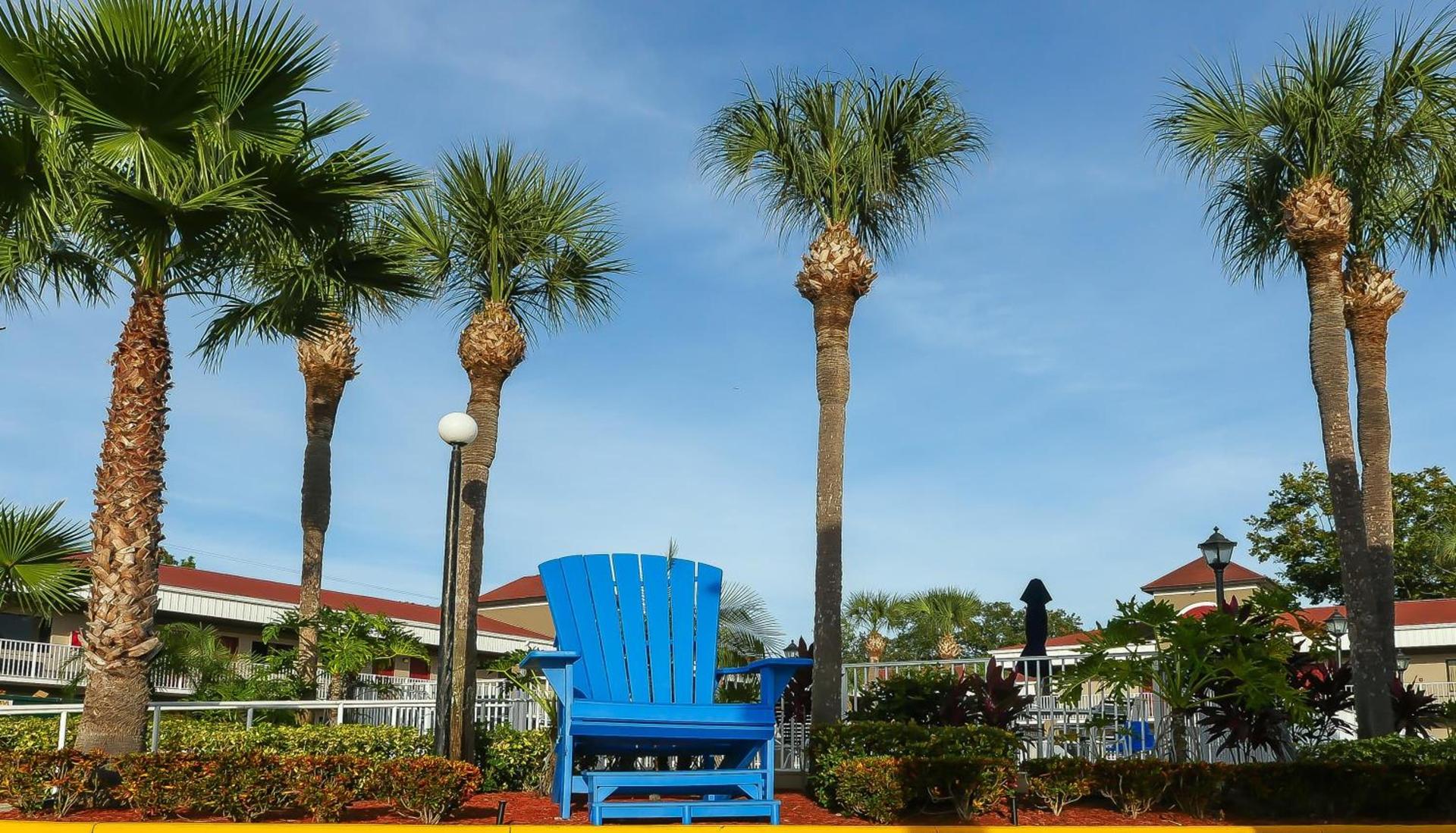 Hotel South Tampa & Suites photo 35