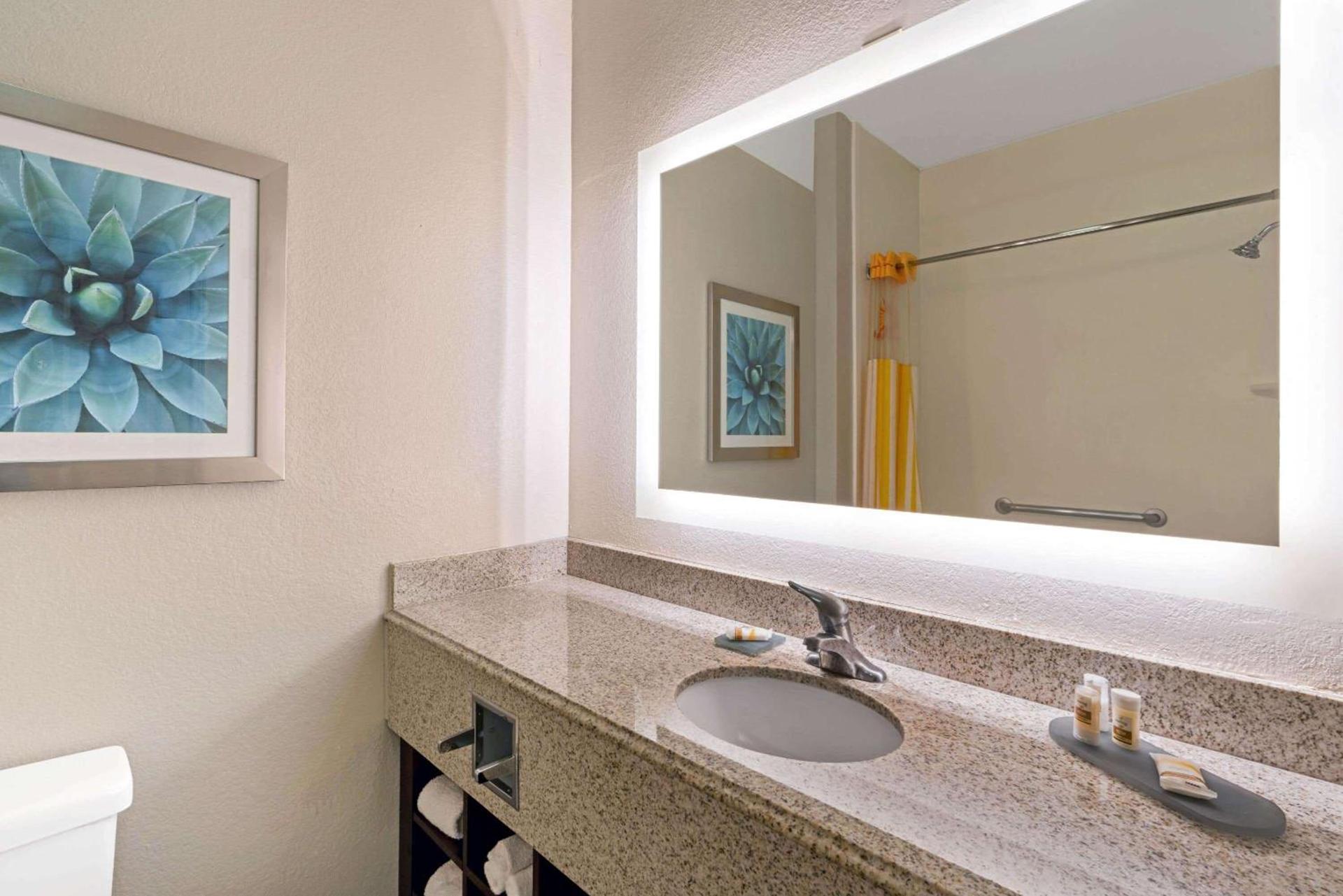 La Quinta by Wyndham Phoenix I-10 West photo 20
