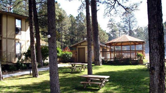 Village Lodge photo 14