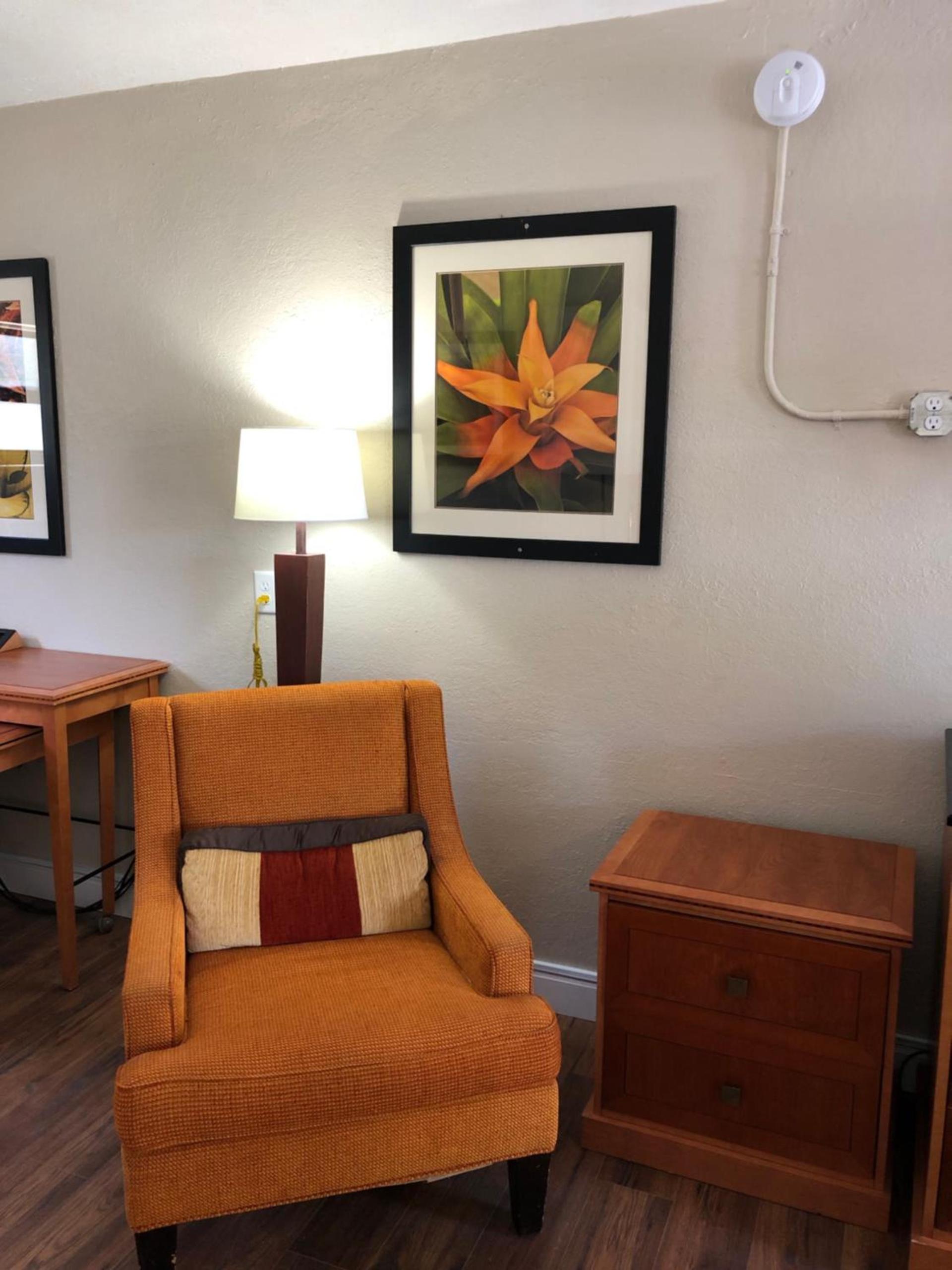 Ocala Cove Motel photo 8