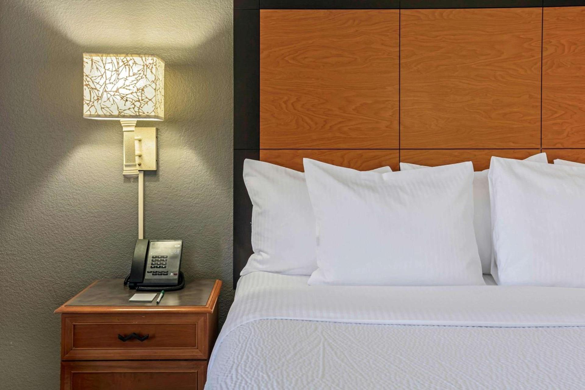 La Quinta by Wyndham Dallas Arlington South photo 18