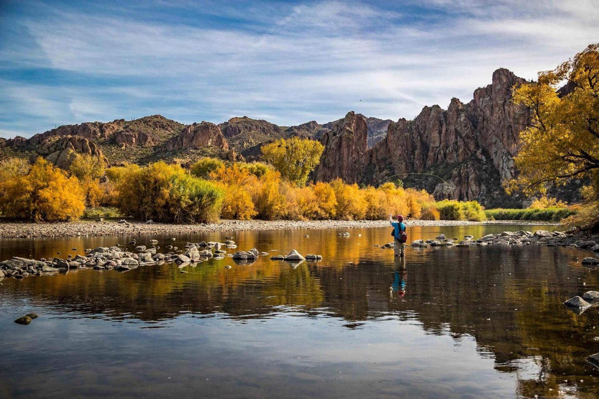 Saguaro Lake Ranch photo 20