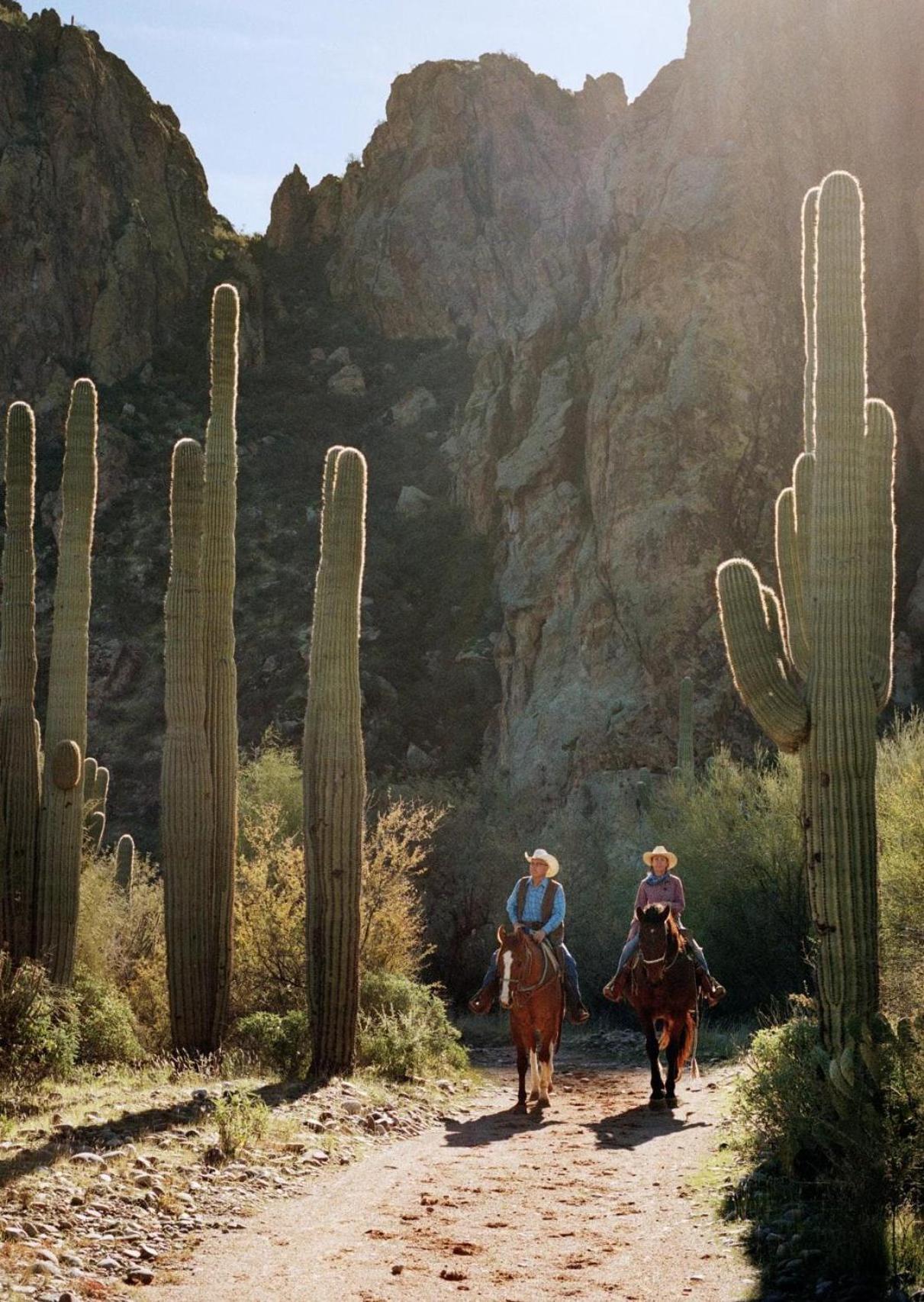 Saguaro Lake Ranch photo 21