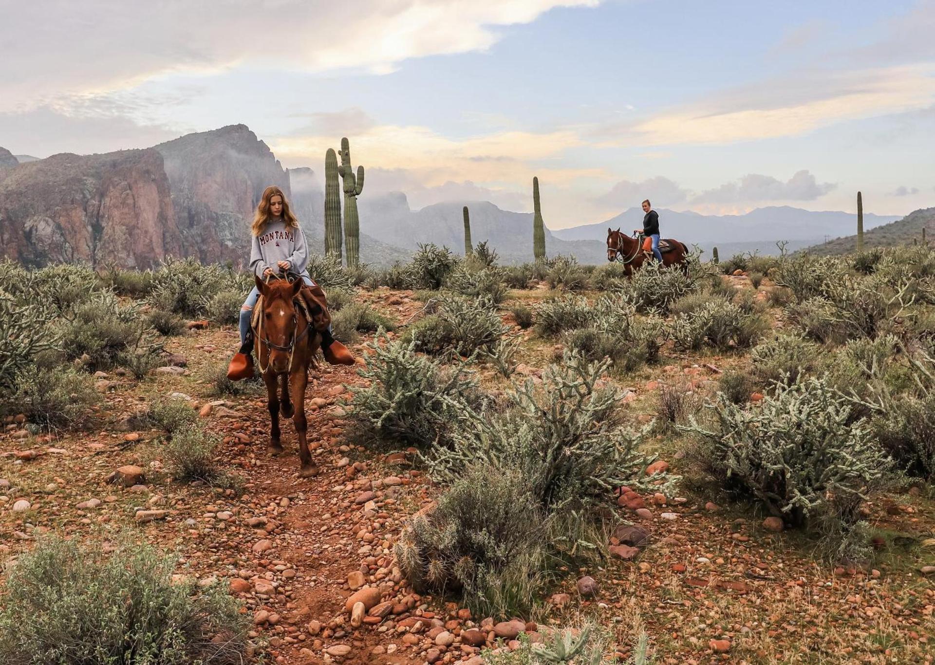 Saguaro Lake Ranch photo 10