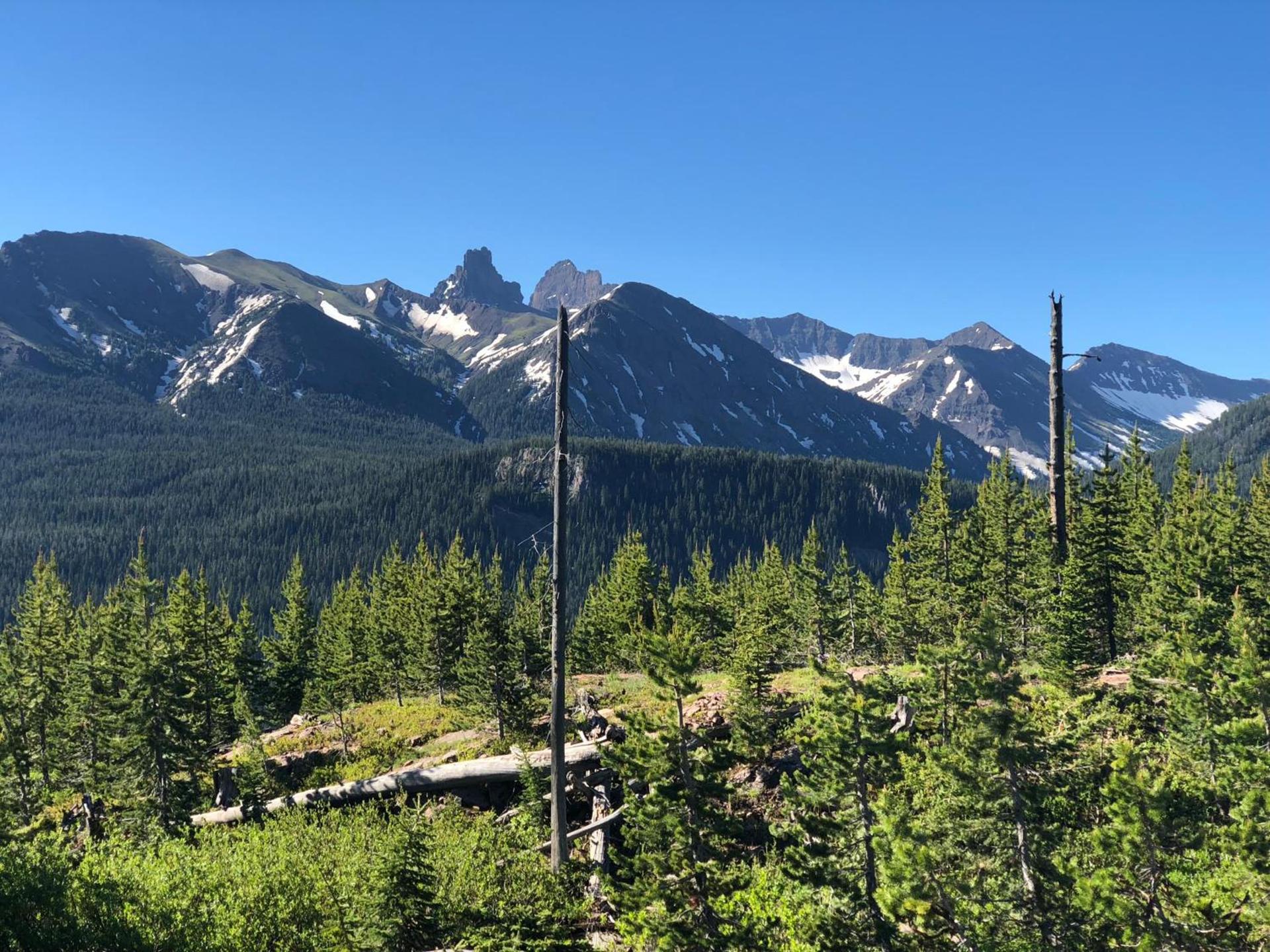Antlers Lodge photo 16