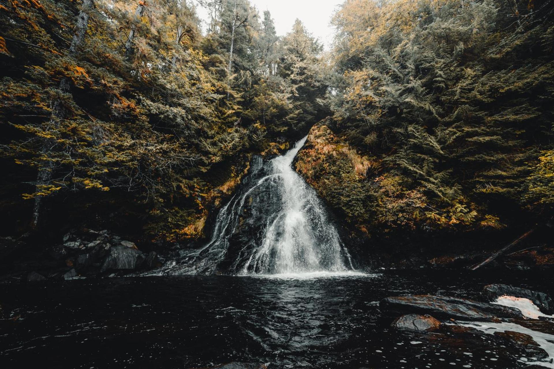 Salmon Falls Resort photo 33