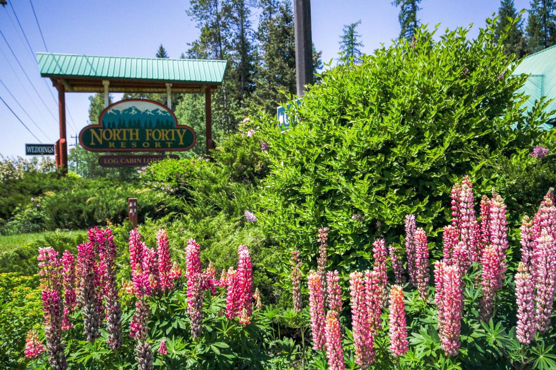 North Forty Resort photo 10