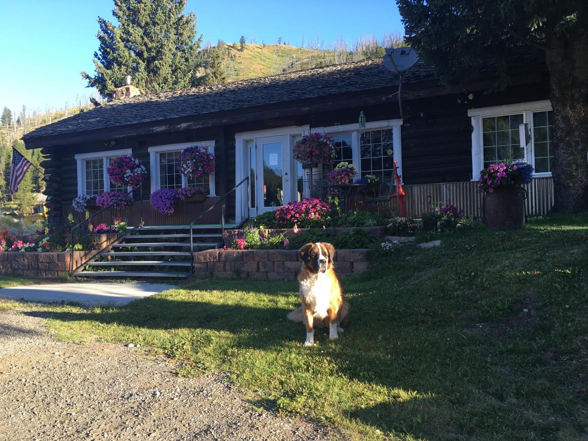 Antlers Lodge photo 10