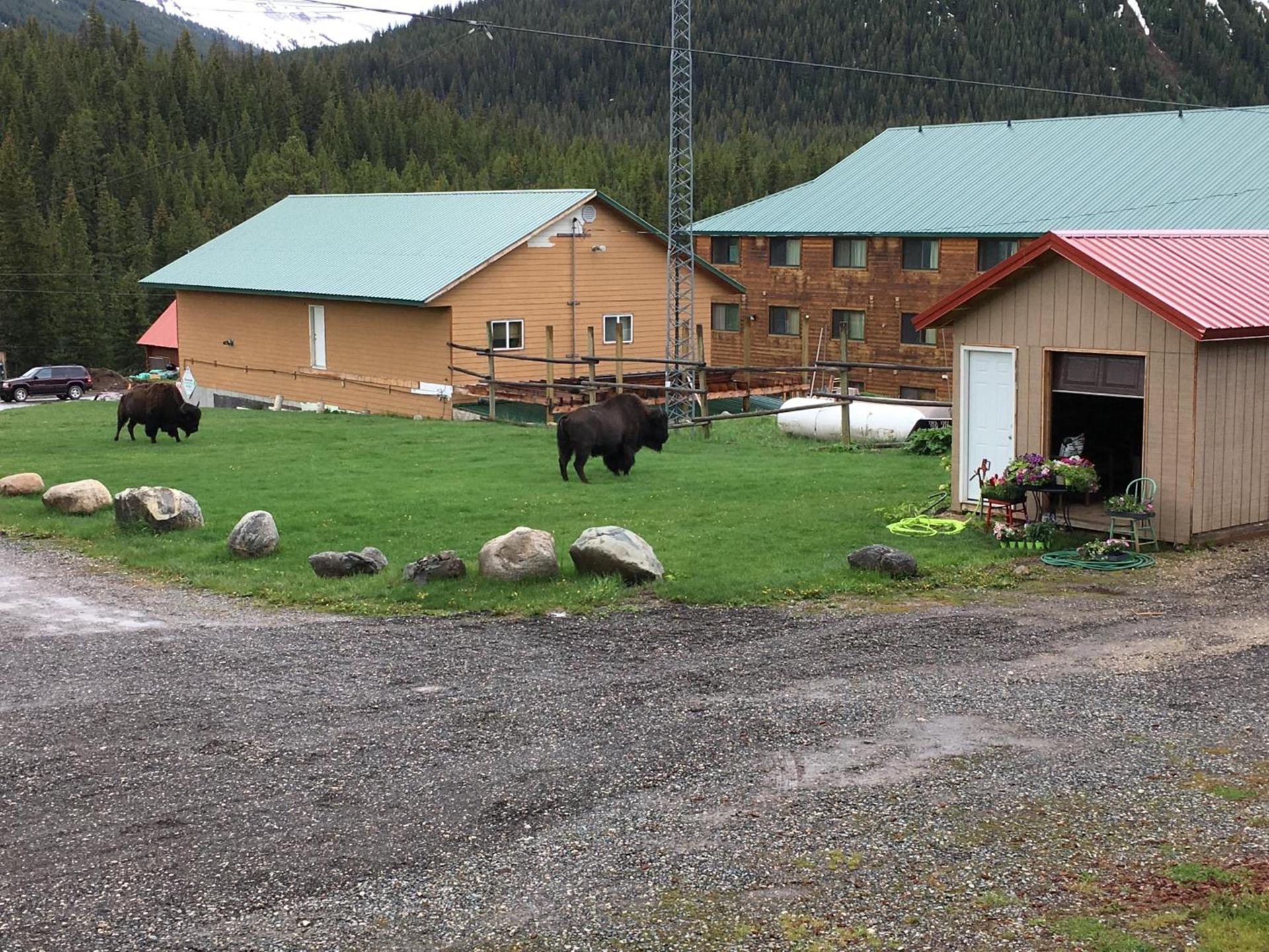 Antlers Lodge photo 5