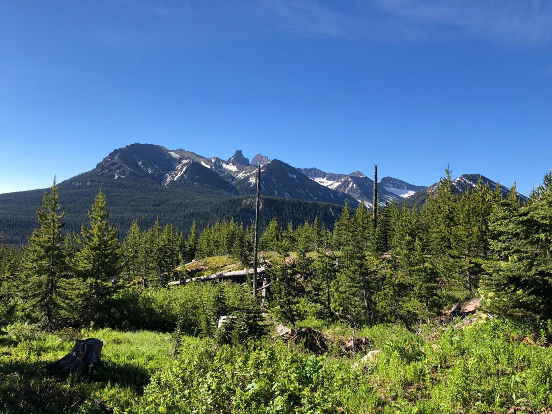 Antlers Lodge photo 15