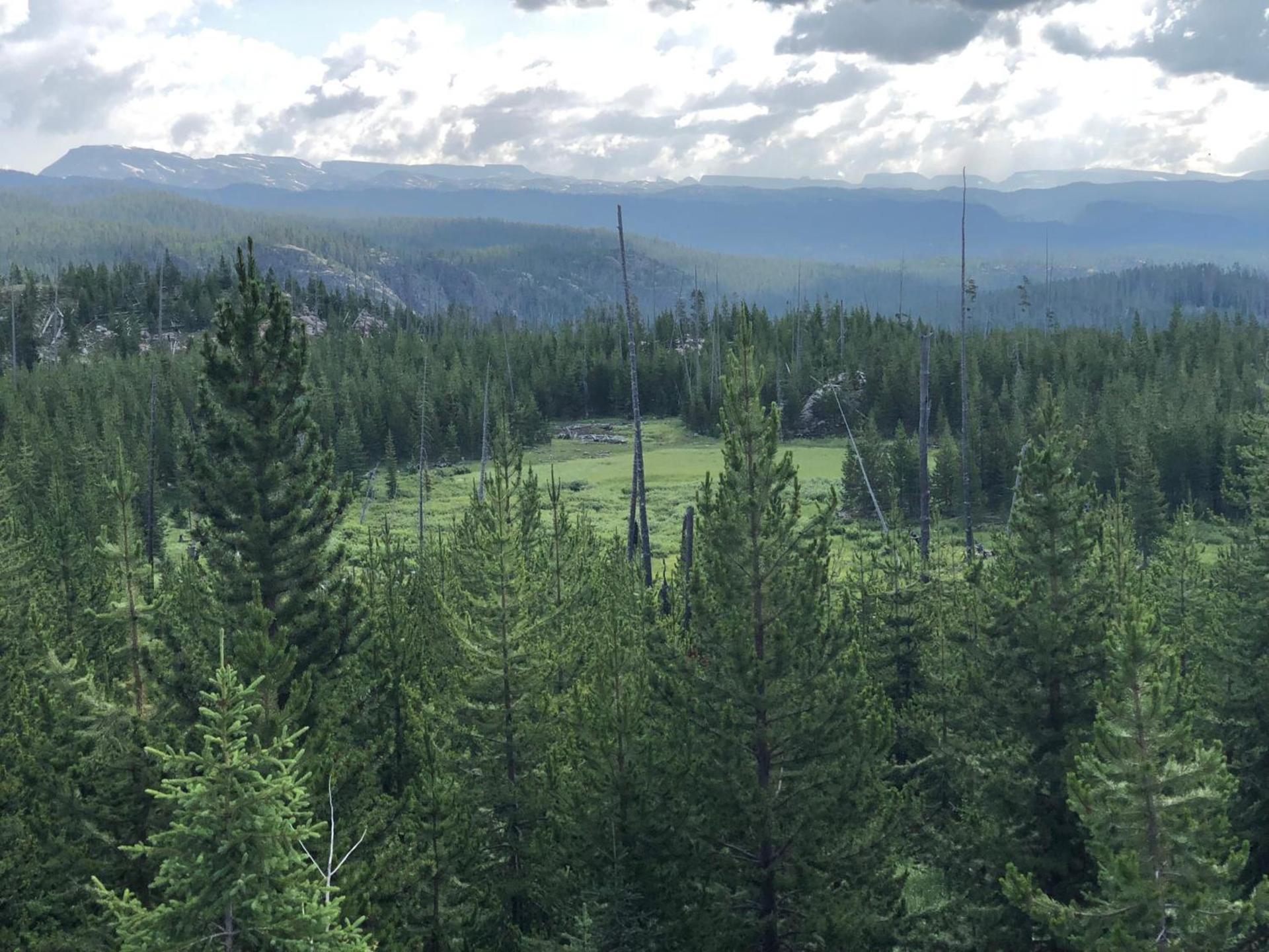 Antlers Lodge photo 14