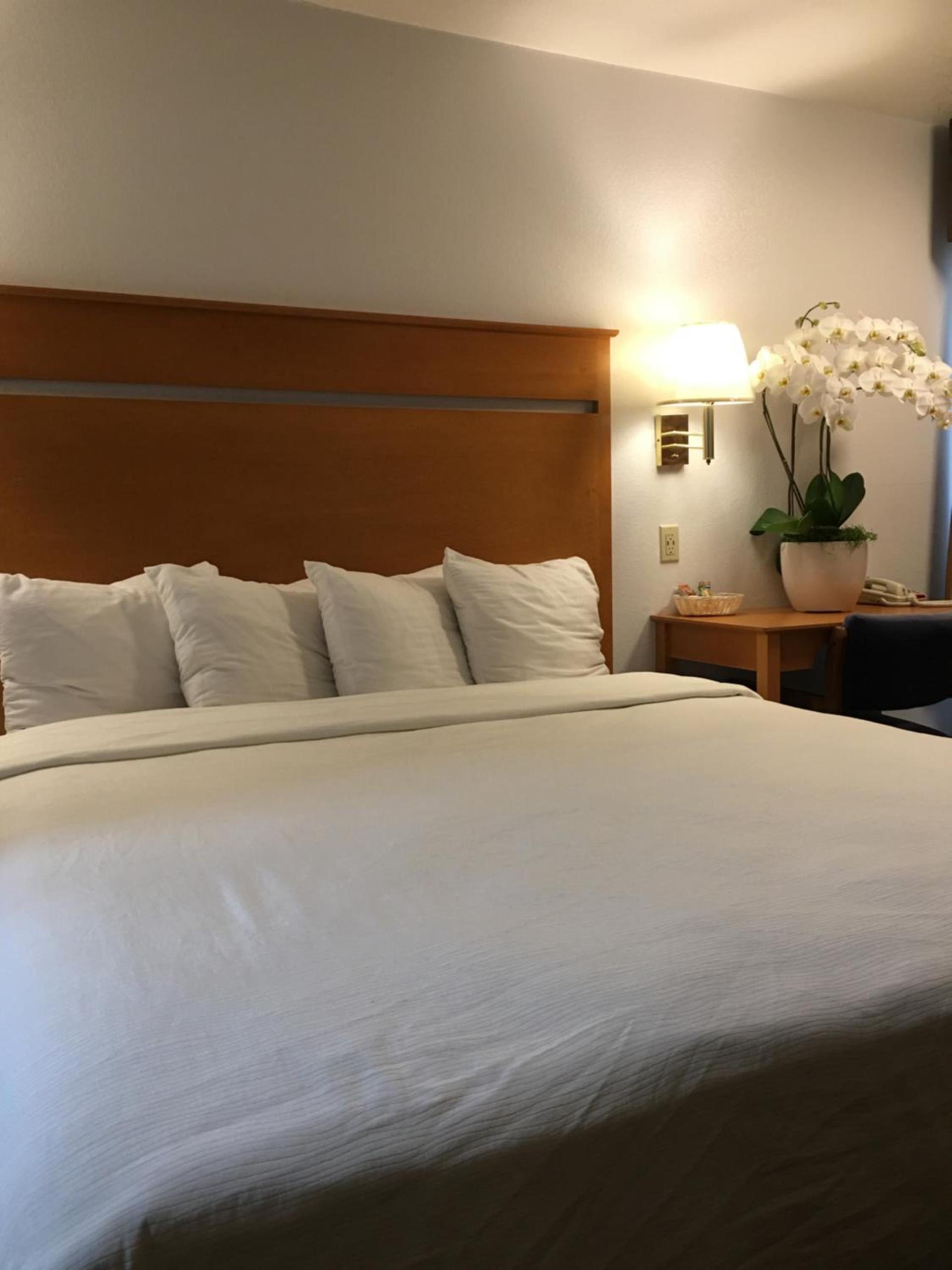 OceanView Motel photo 41