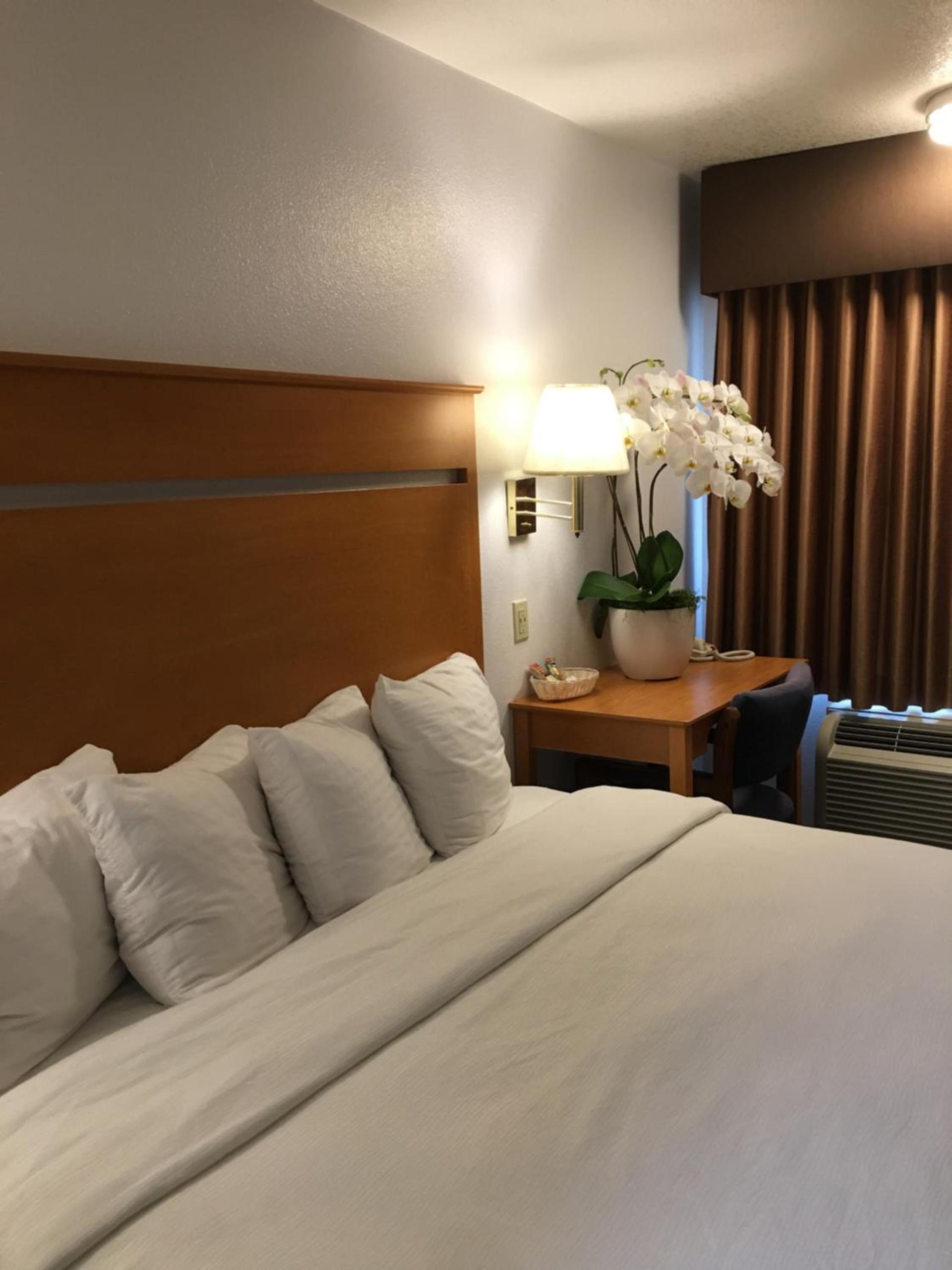 OceanView Motel photo 57