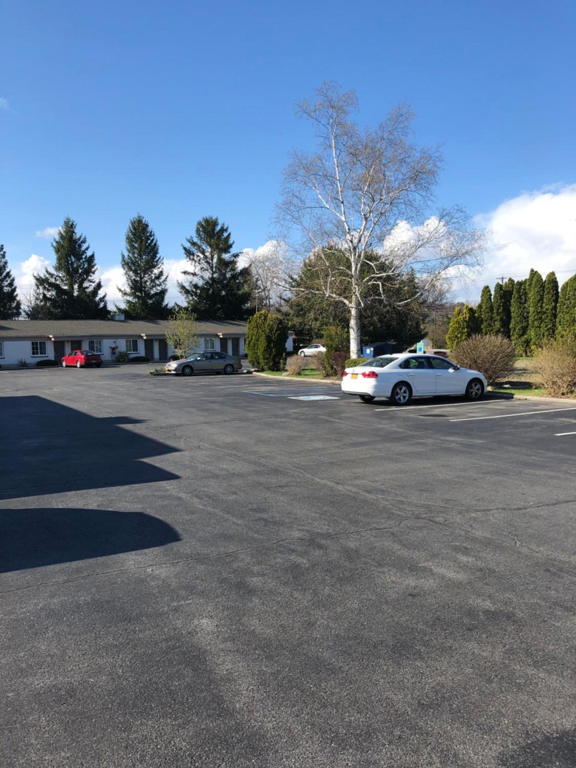 Americas Best Value Inn photo 7