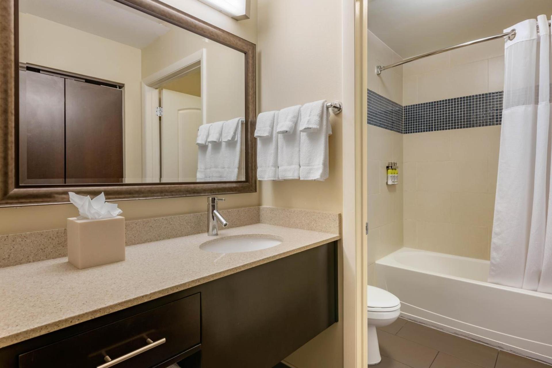 Staybridge Suites St. Petersburg FL by IHG photo 54