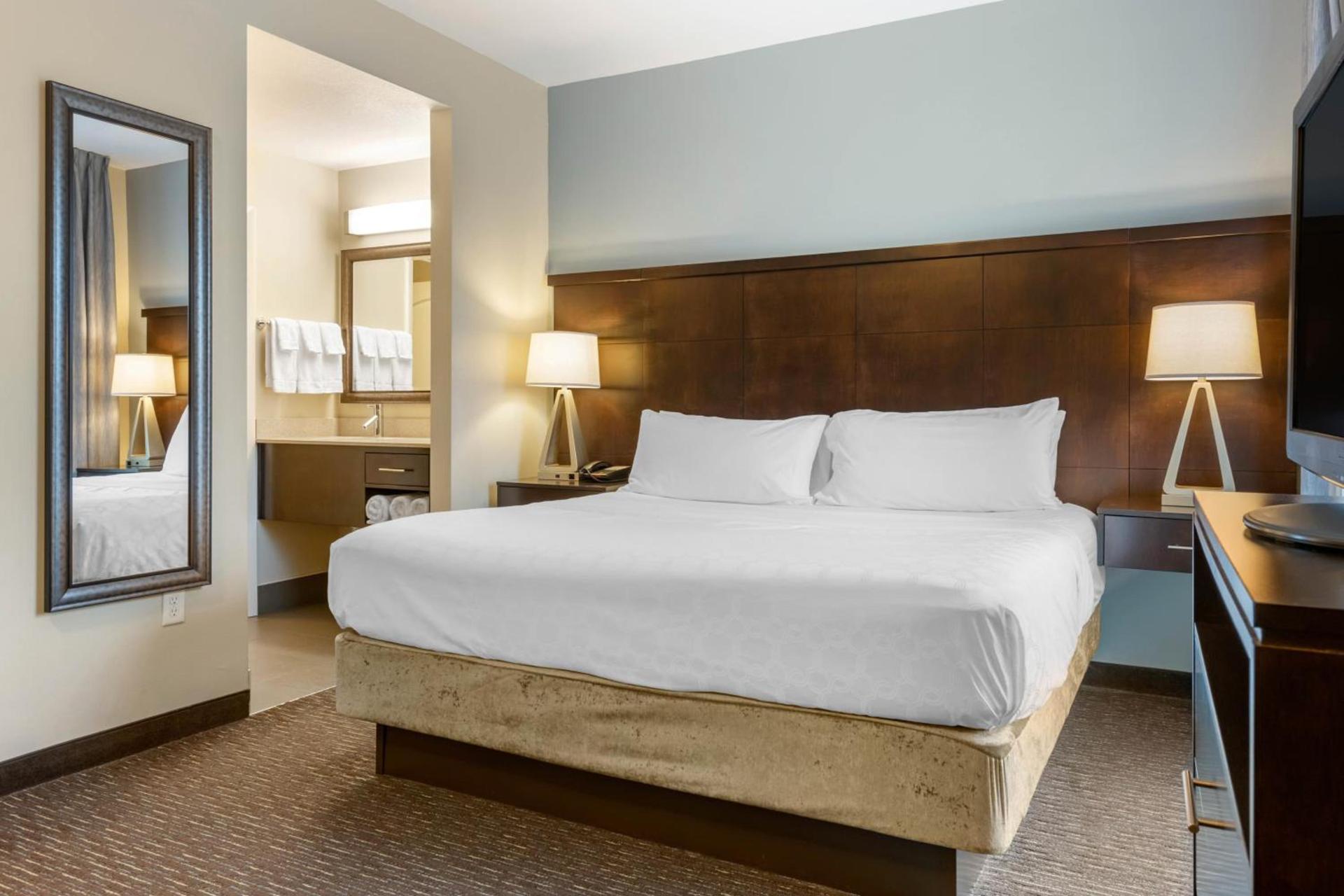 Staybridge Suites St. Petersburg FL by IHG photo 94
