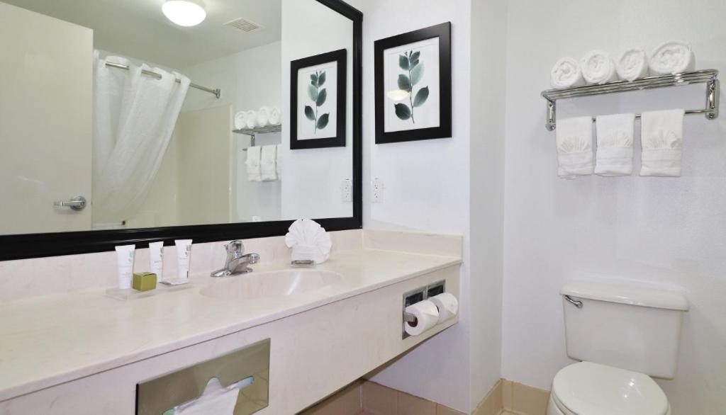 Country Inn & Suites by Radisson, Jacksonville - Orange Park photo 14