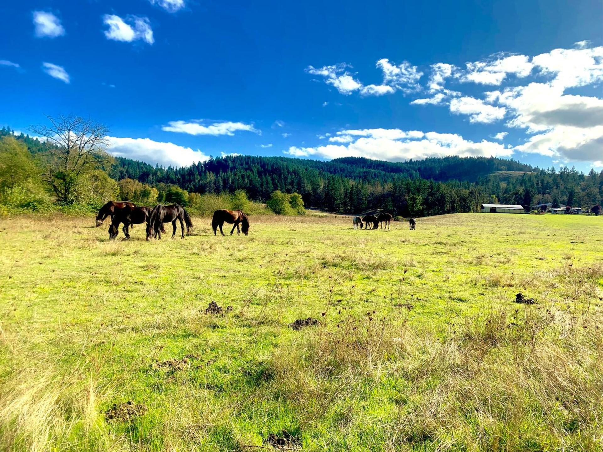 The Ranch Motel photo 10