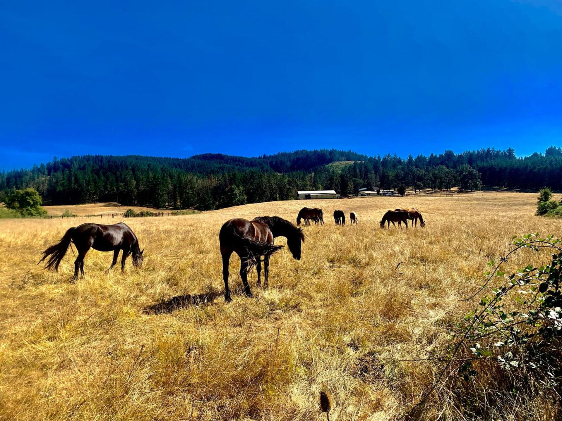 The Ranch Motel photo 11