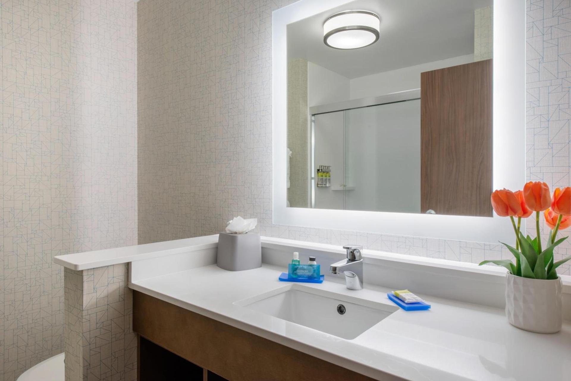 Holiday Inn Express & Suites Alachua - Gainesville Area by IHG photo 14