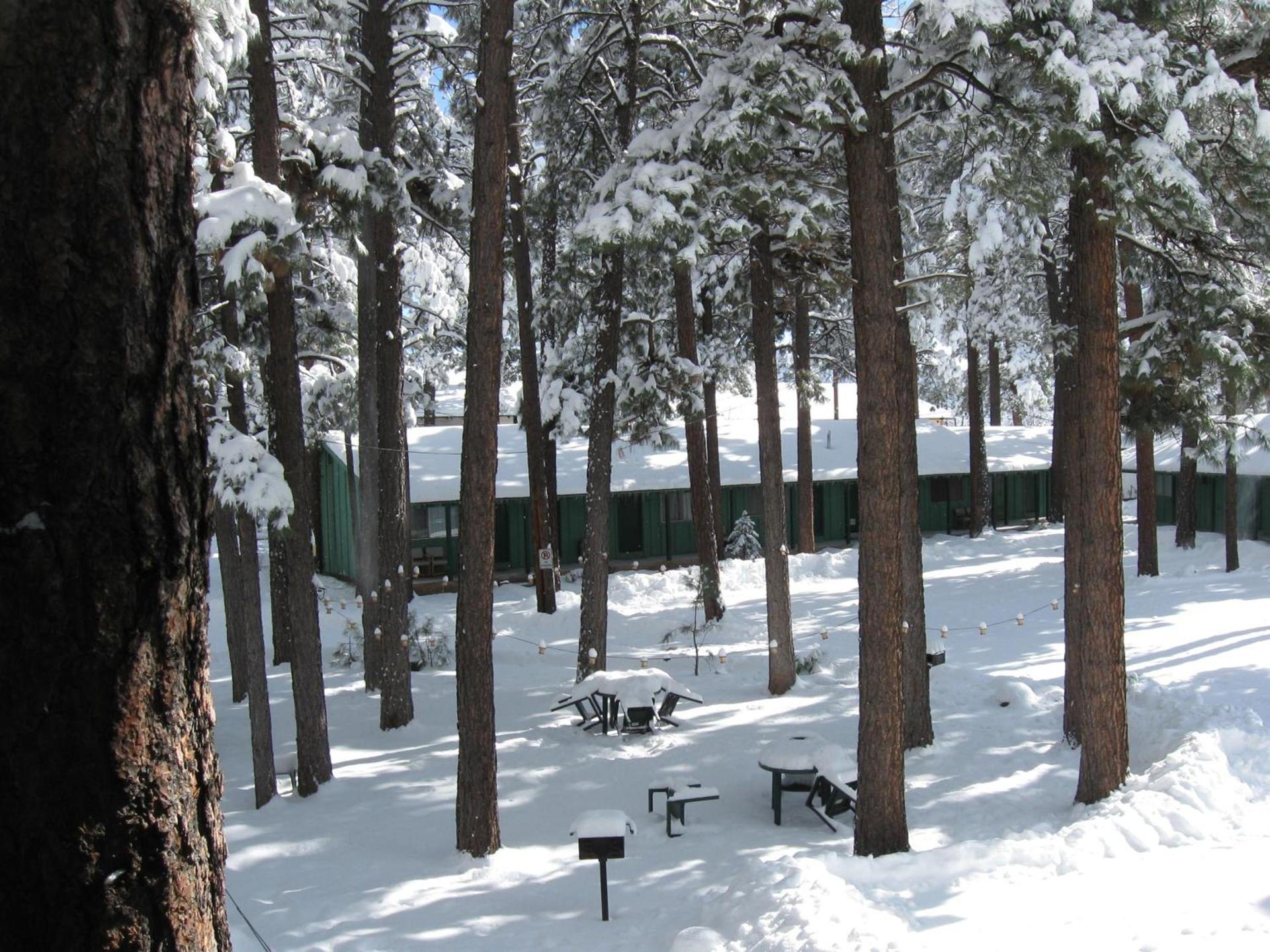 TimberLodge Inn photo 26