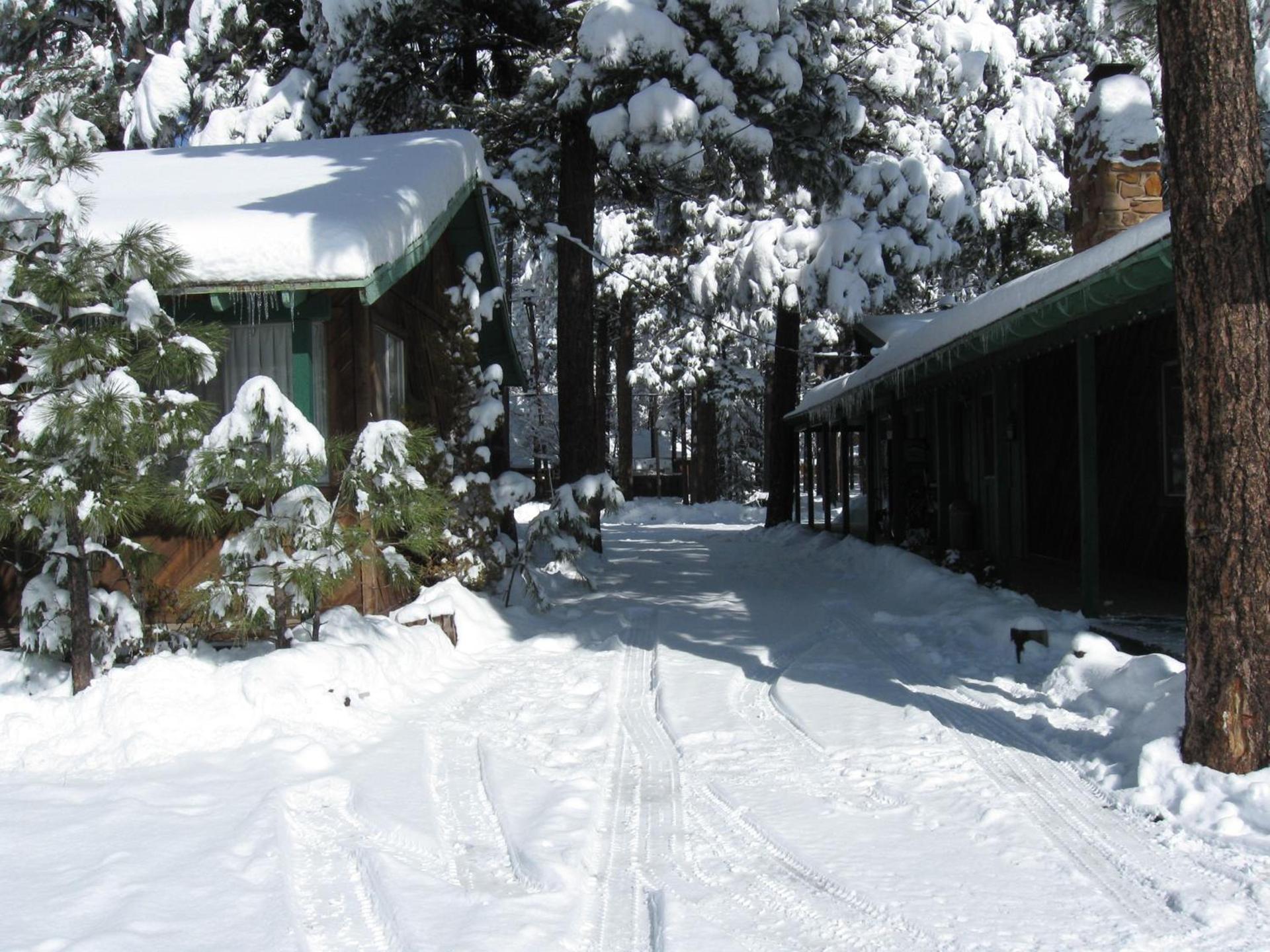 TimberLodge Inn photo 27