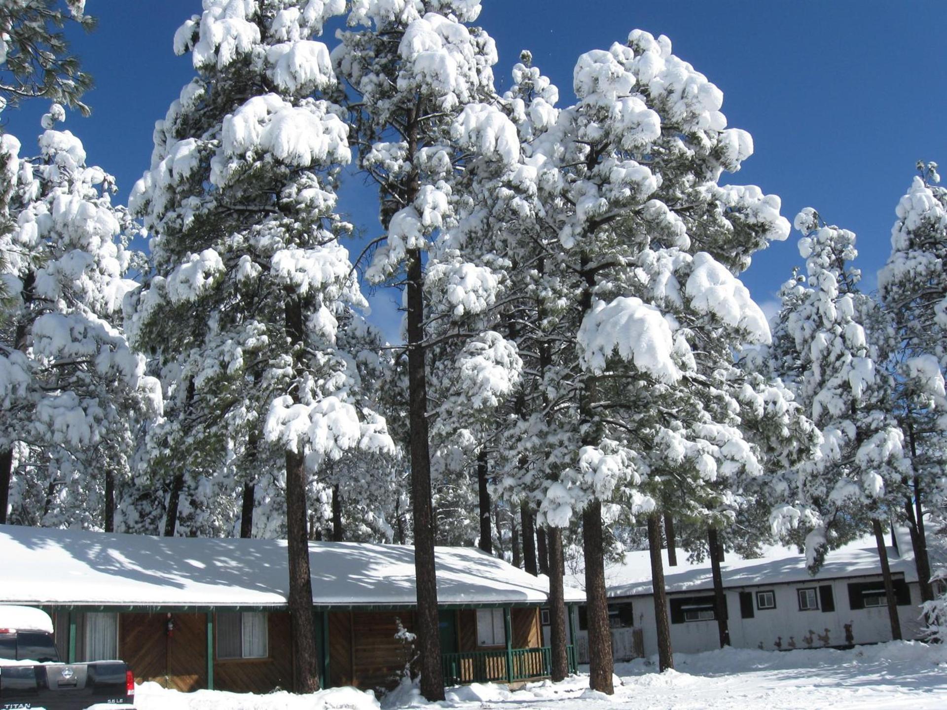 TimberLodge Inn photo 25