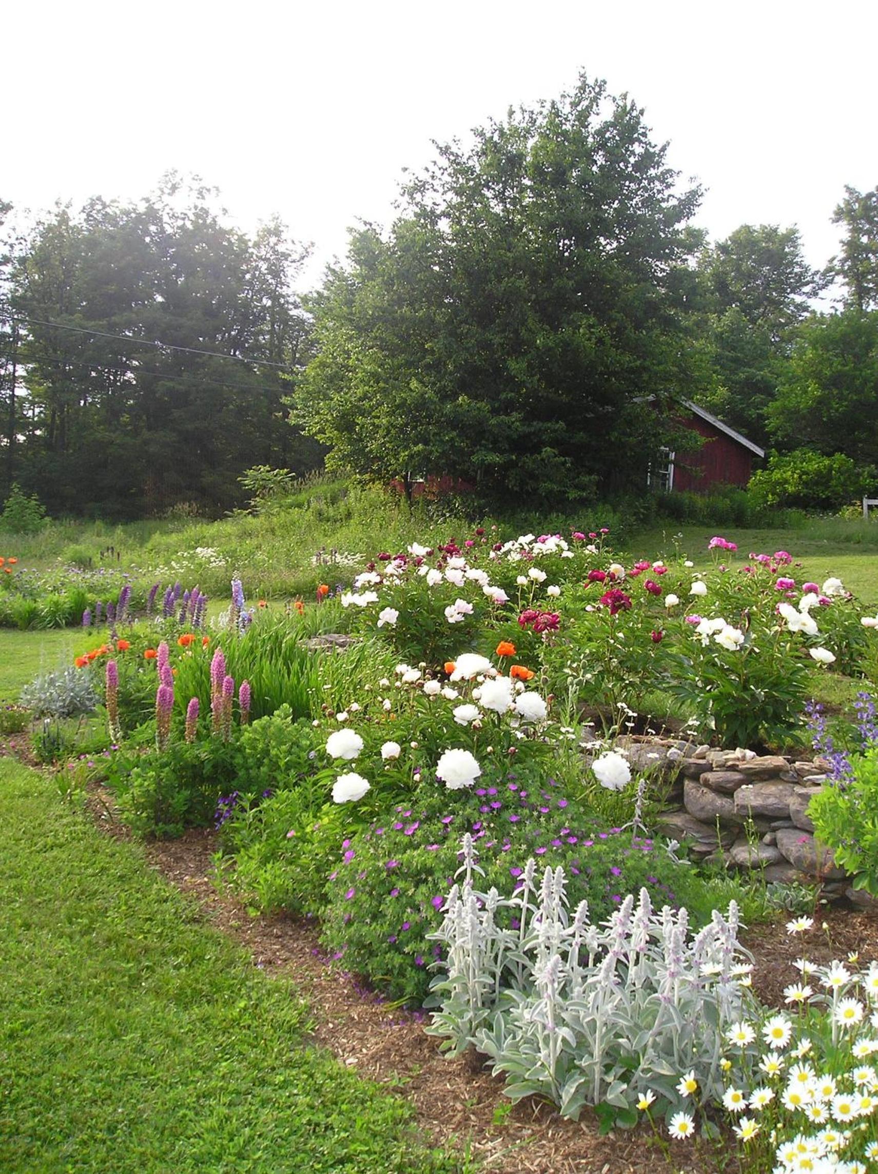 Cooper Hill Inn photo 14