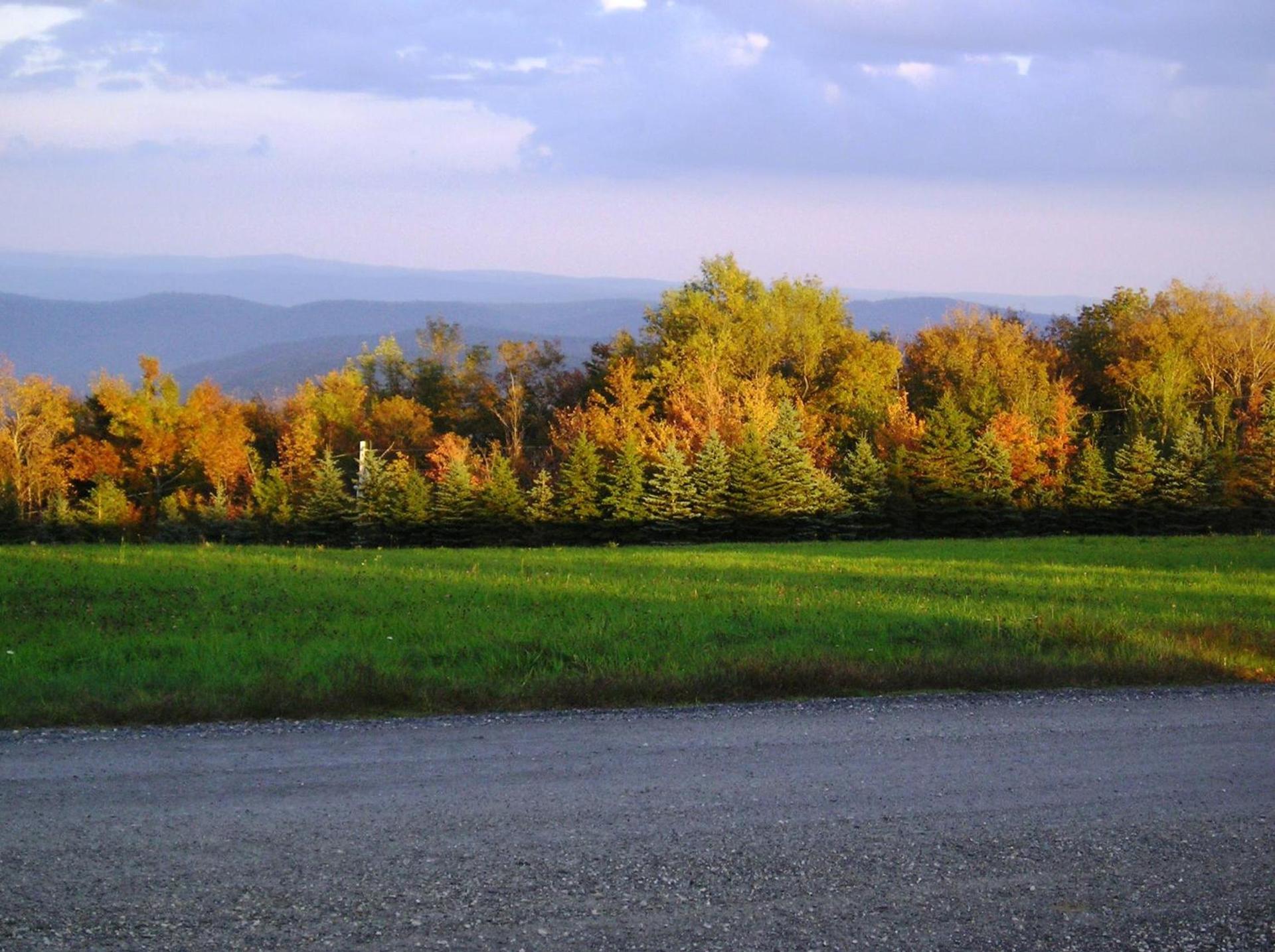 Cooper Hill Inn photo 16