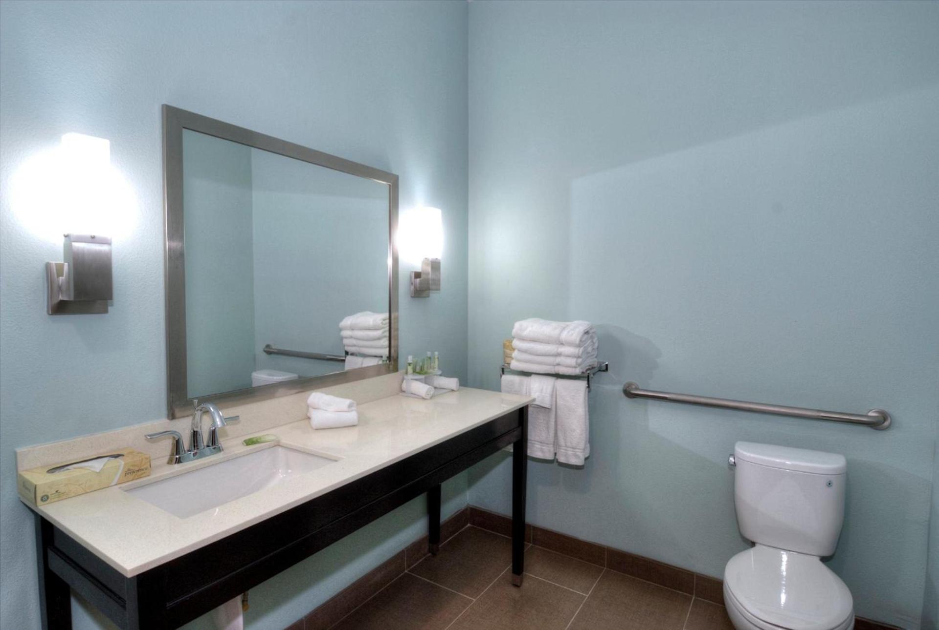 Holiday Inn Express & Suites Austin South by IHG photo 46